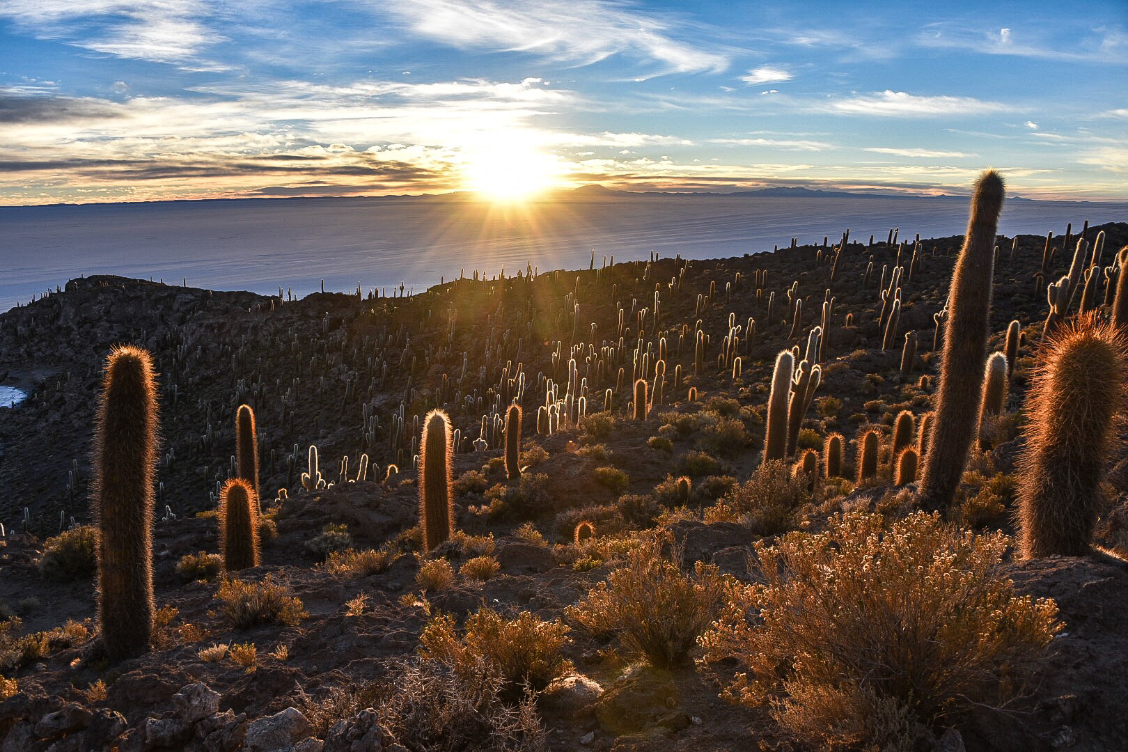 Sunrise views of the Salar de Uyuni from Isla Incahuasi. Uyuni, Bolivia