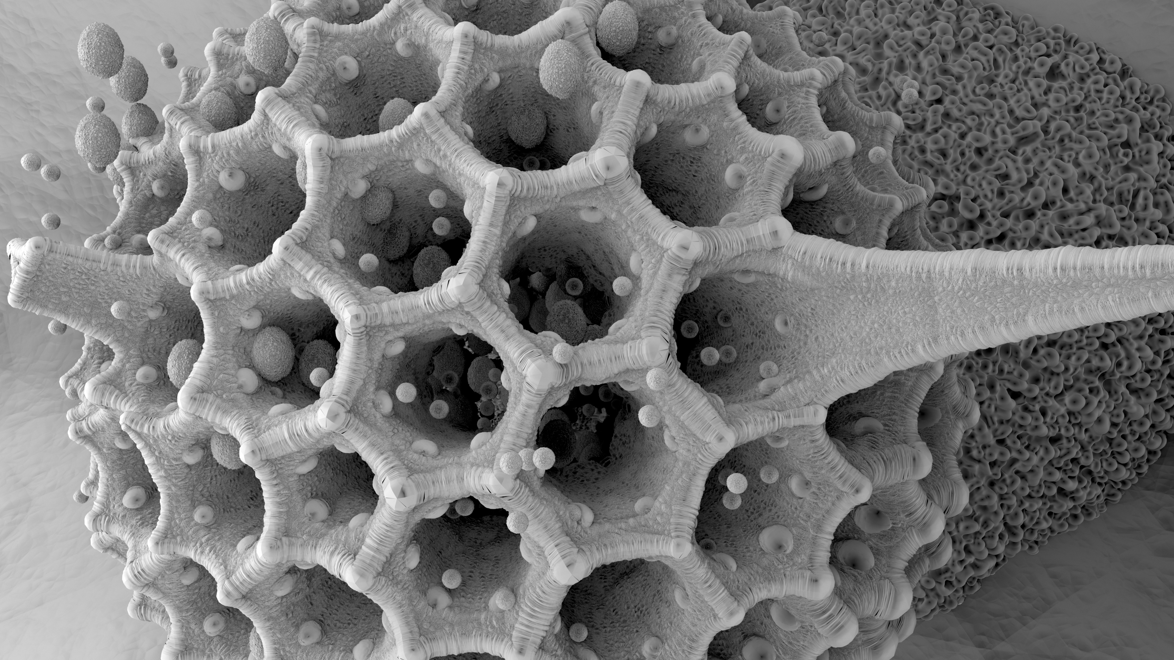 RenderMan Procedural Texture (Microscopy) 