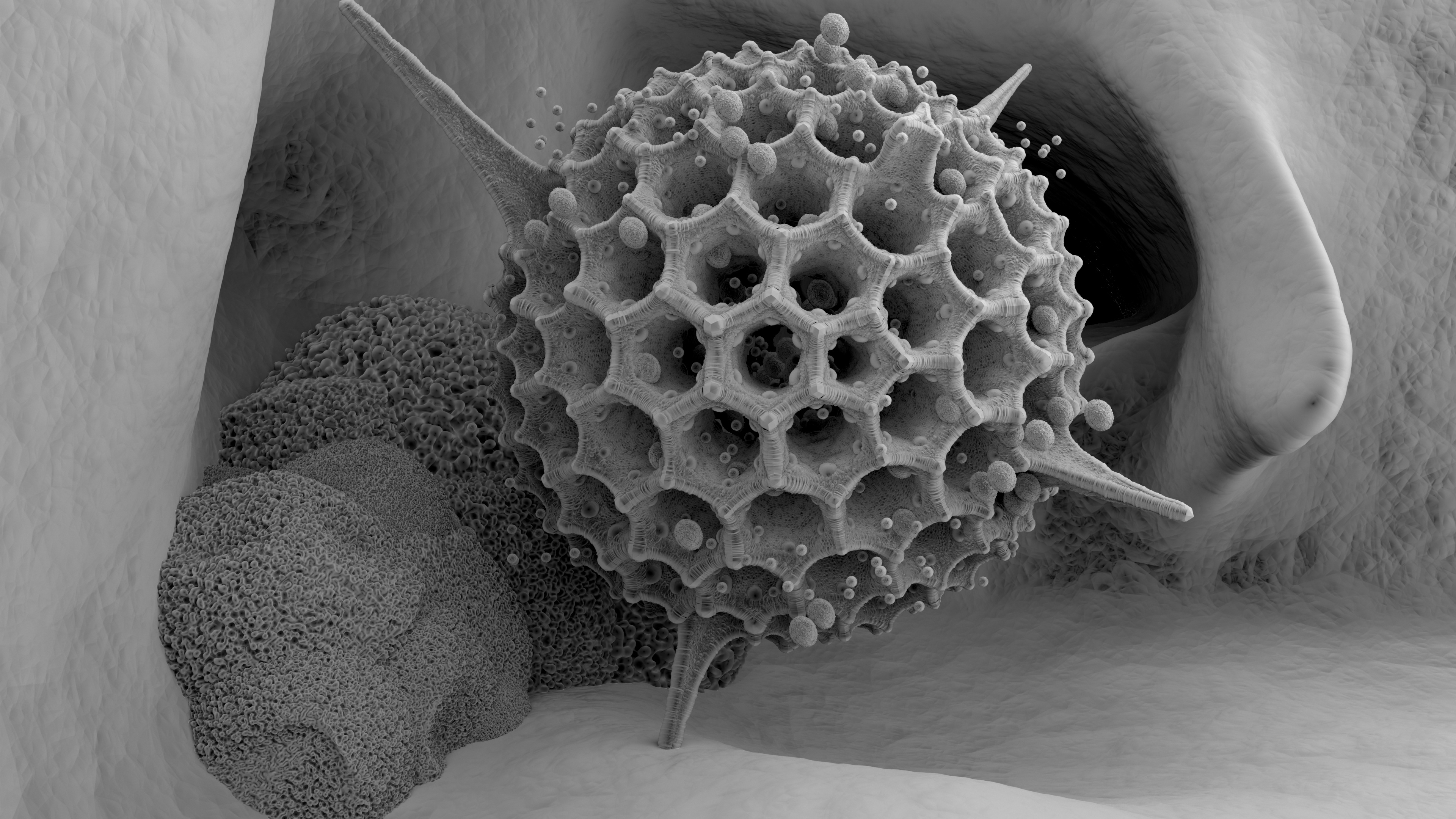 RenderMan Procedural Texture (Microscopy) 