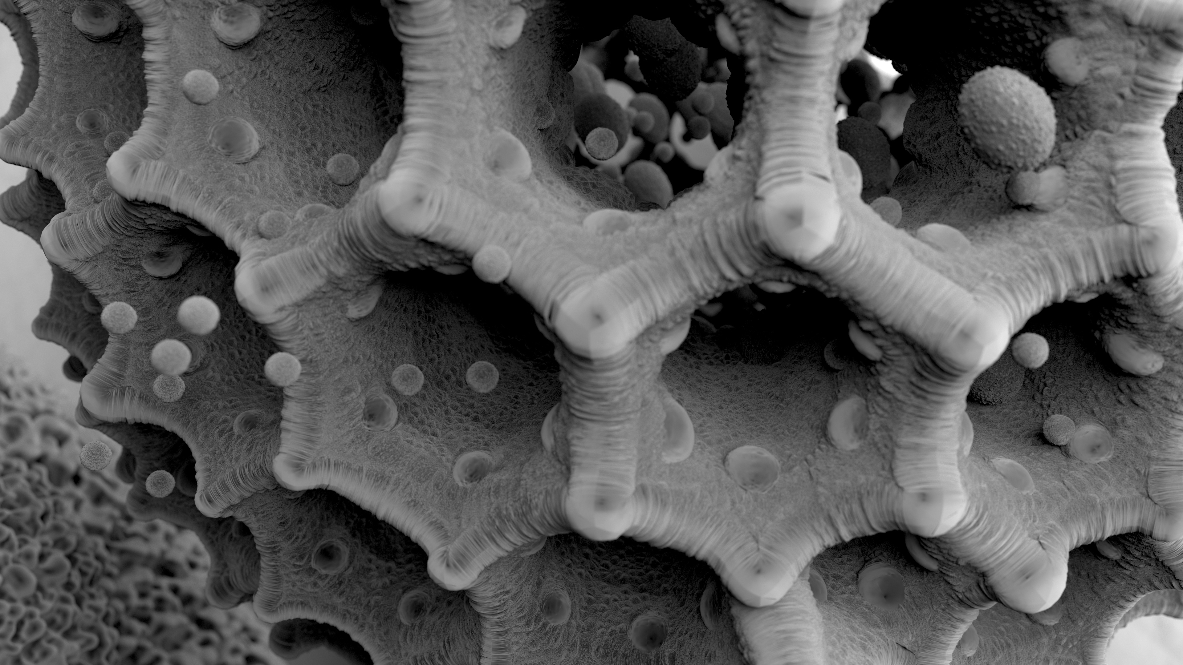 RenderMan Procedural Texture (Microscopy) 