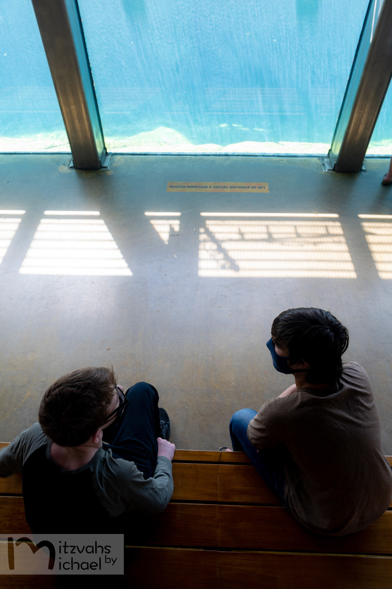 Micah’s Bar Mitzvah party at the Maryland Zoo.
