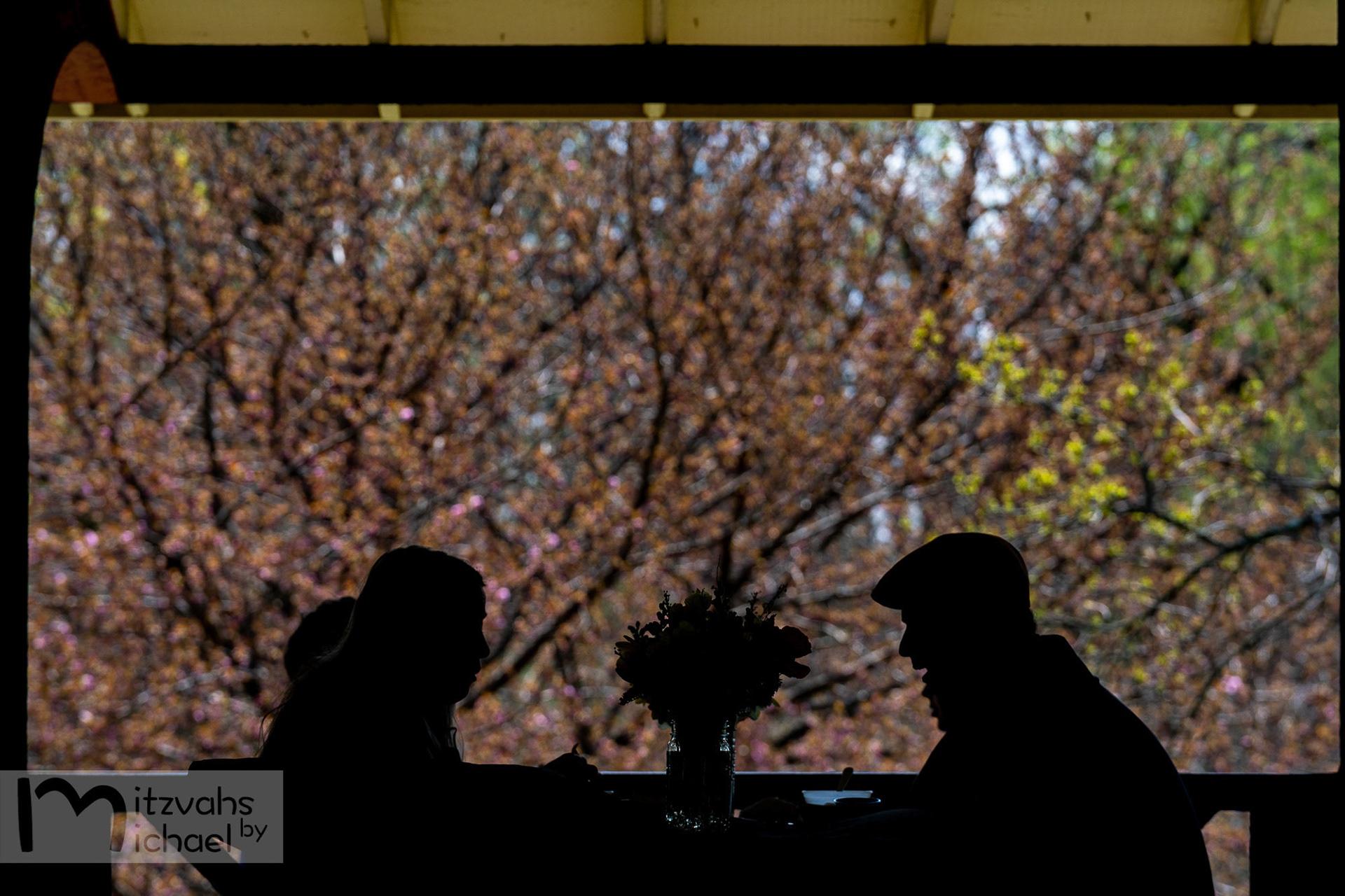 Micah’s Bar Mitzvah party at the Maryland Zoo.