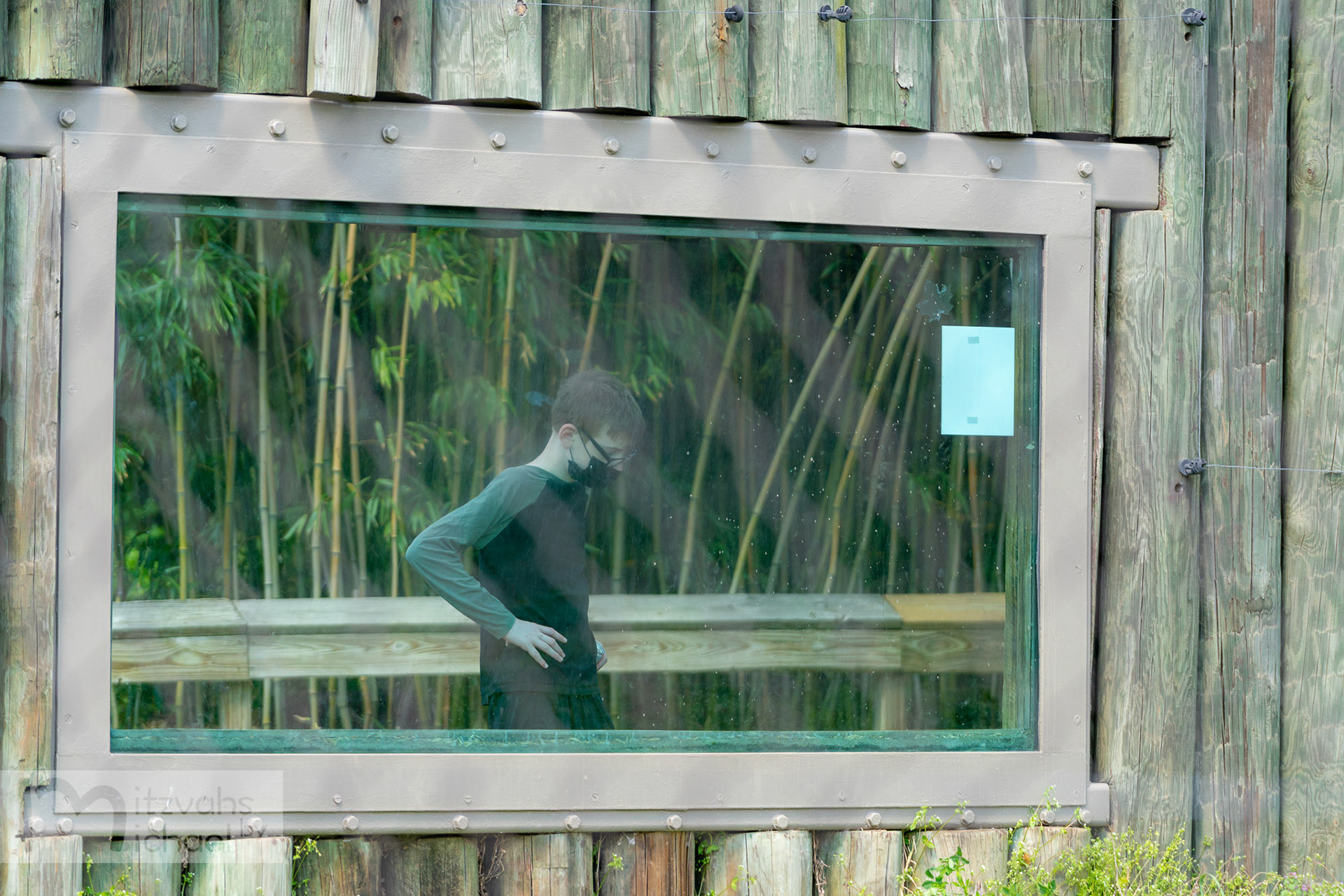 Micah’s Bar Mitzvah party at the Maryland Zoo.