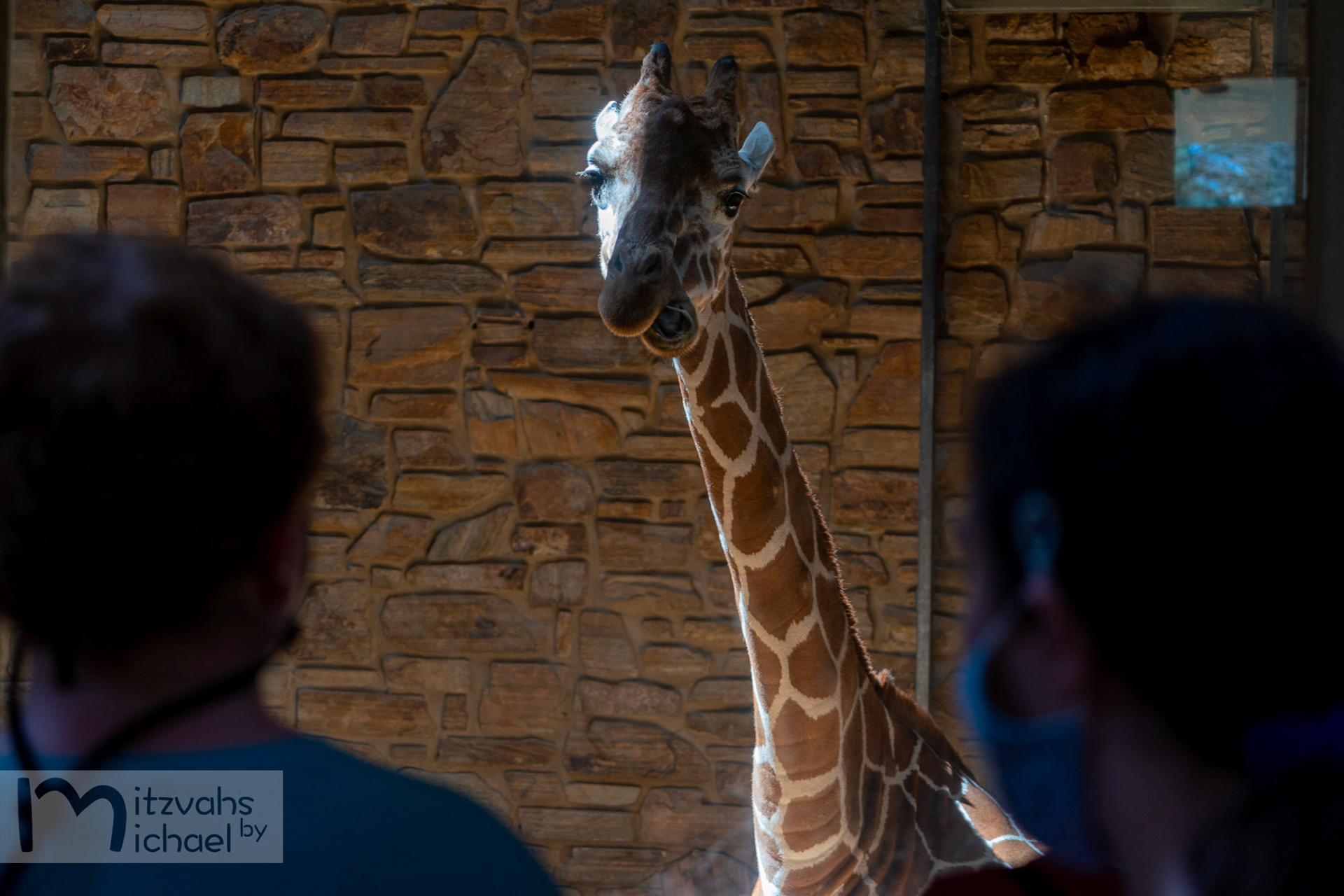 Micah’s Bar Mitzvah party at the Maryland Zoo.