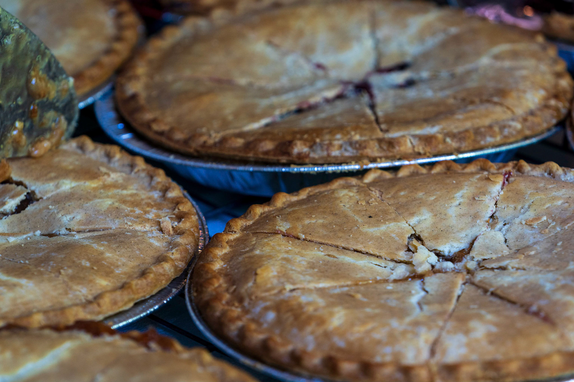 Jordana’s Adas Israel Bat Mitzvah rehearsal session and party at Smokey Glen Farm