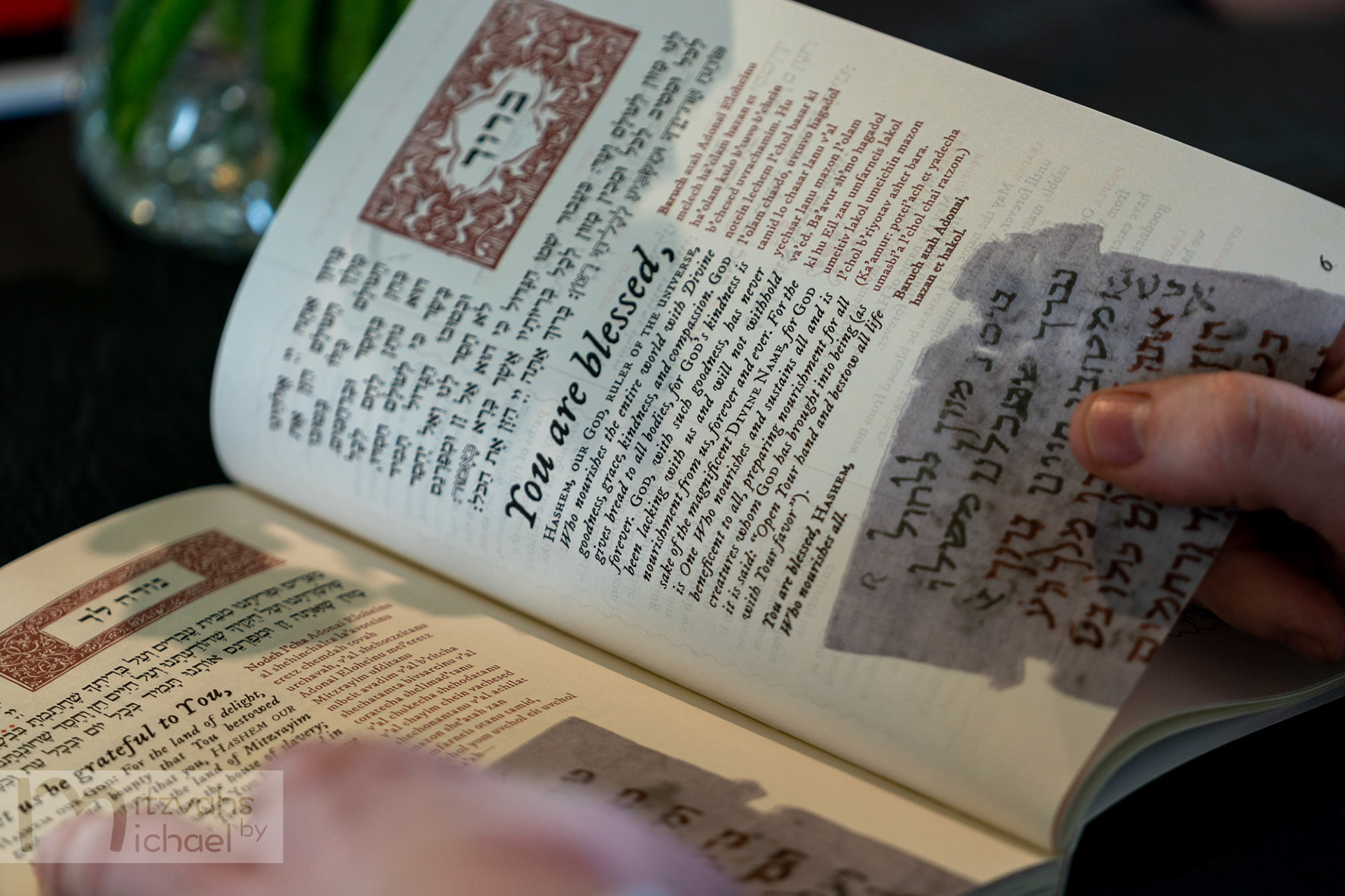 Micah’s Bar Mitzvah party at the Maryland Zoo.