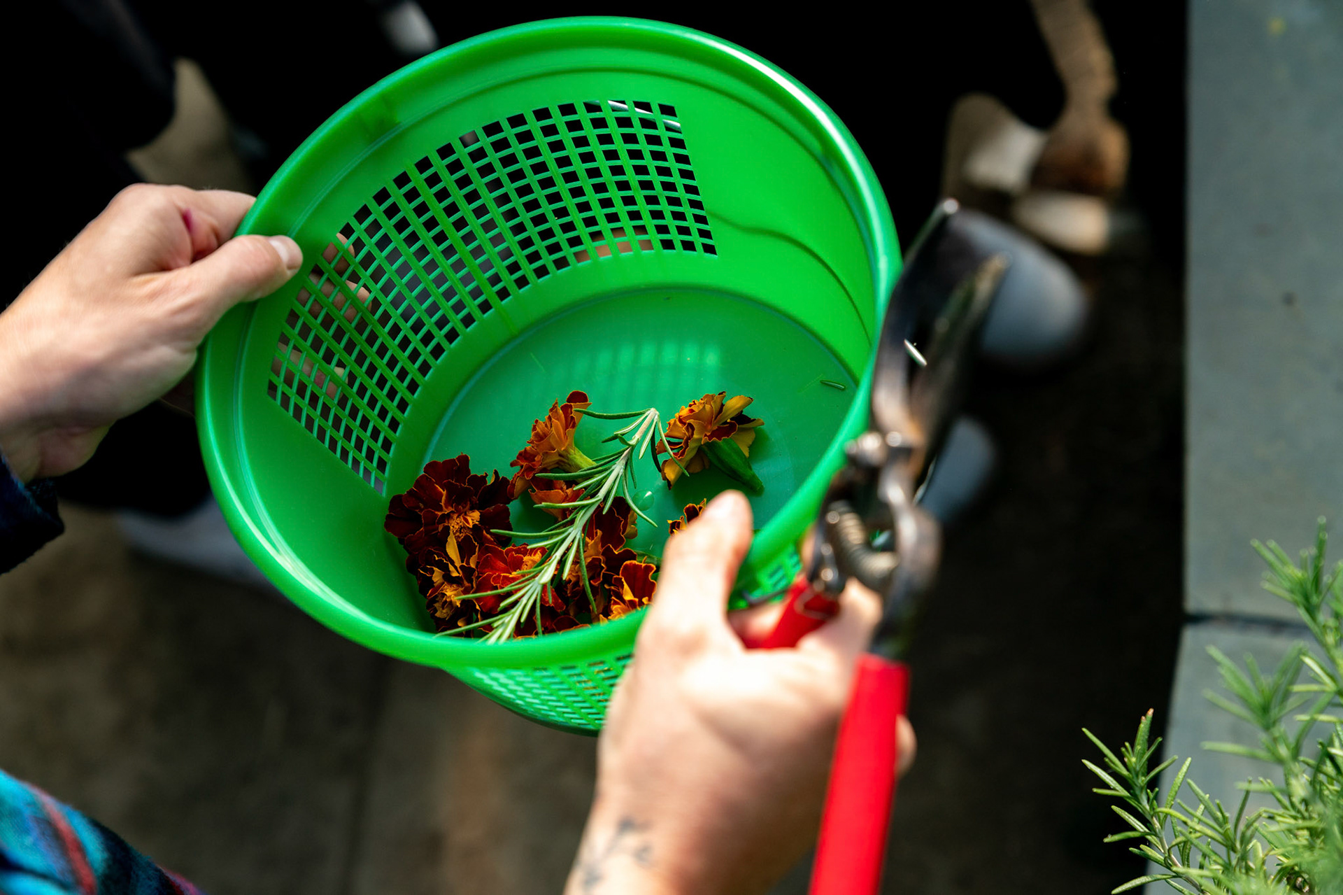 Noa’s Modern Orthodox Moses Montefiore Bat Mitzvah at Pearlstone Retreat.