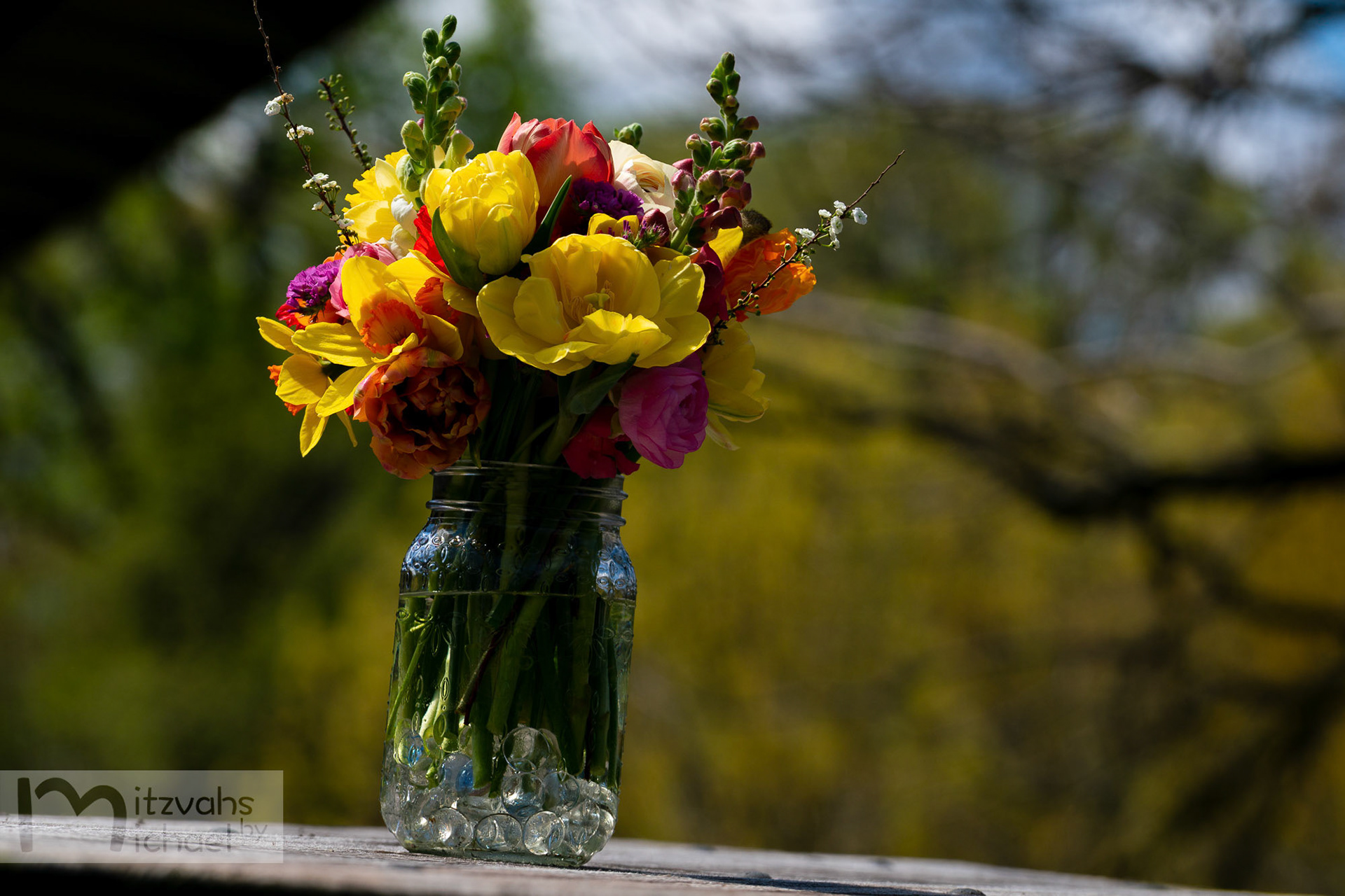 Micah’s Bar Mitzvah party at the Maryland Zoo.