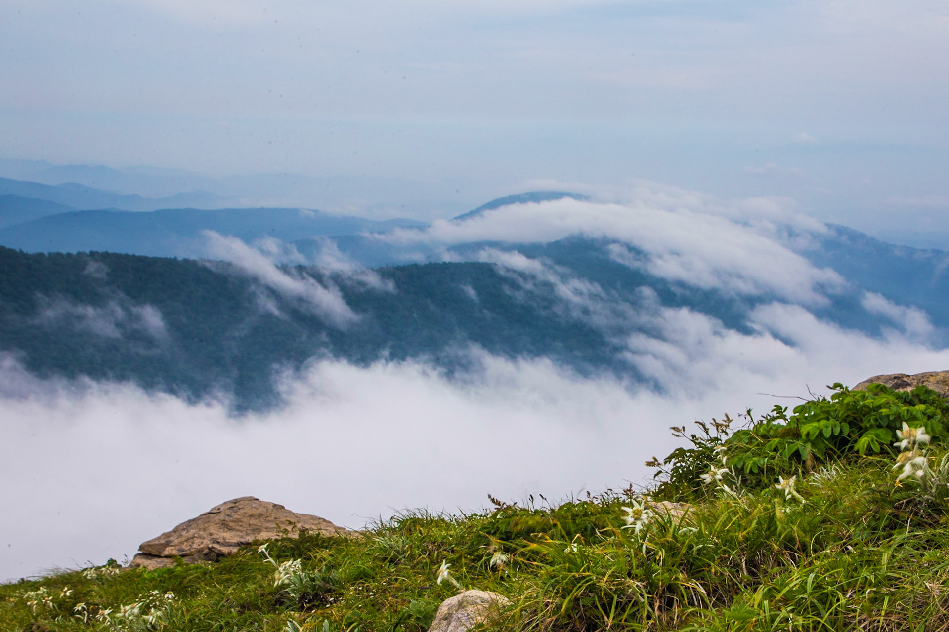16)a 早池峰山