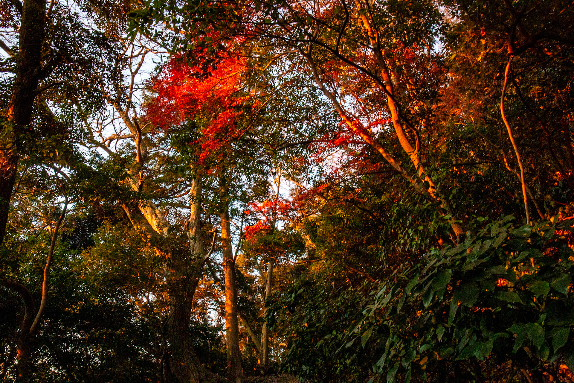 43)朝日の瞬間