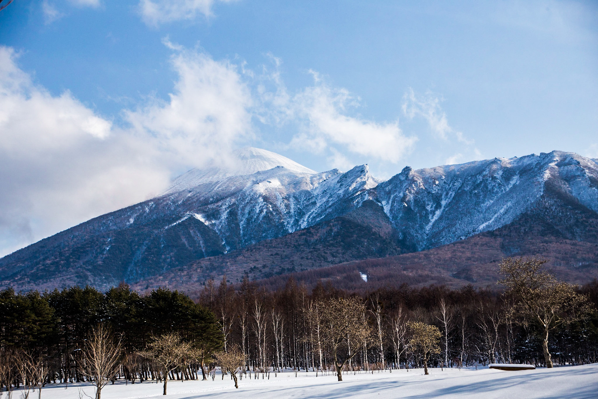 7)2019/2/9 八幡平の県民の森から岩手山を望む