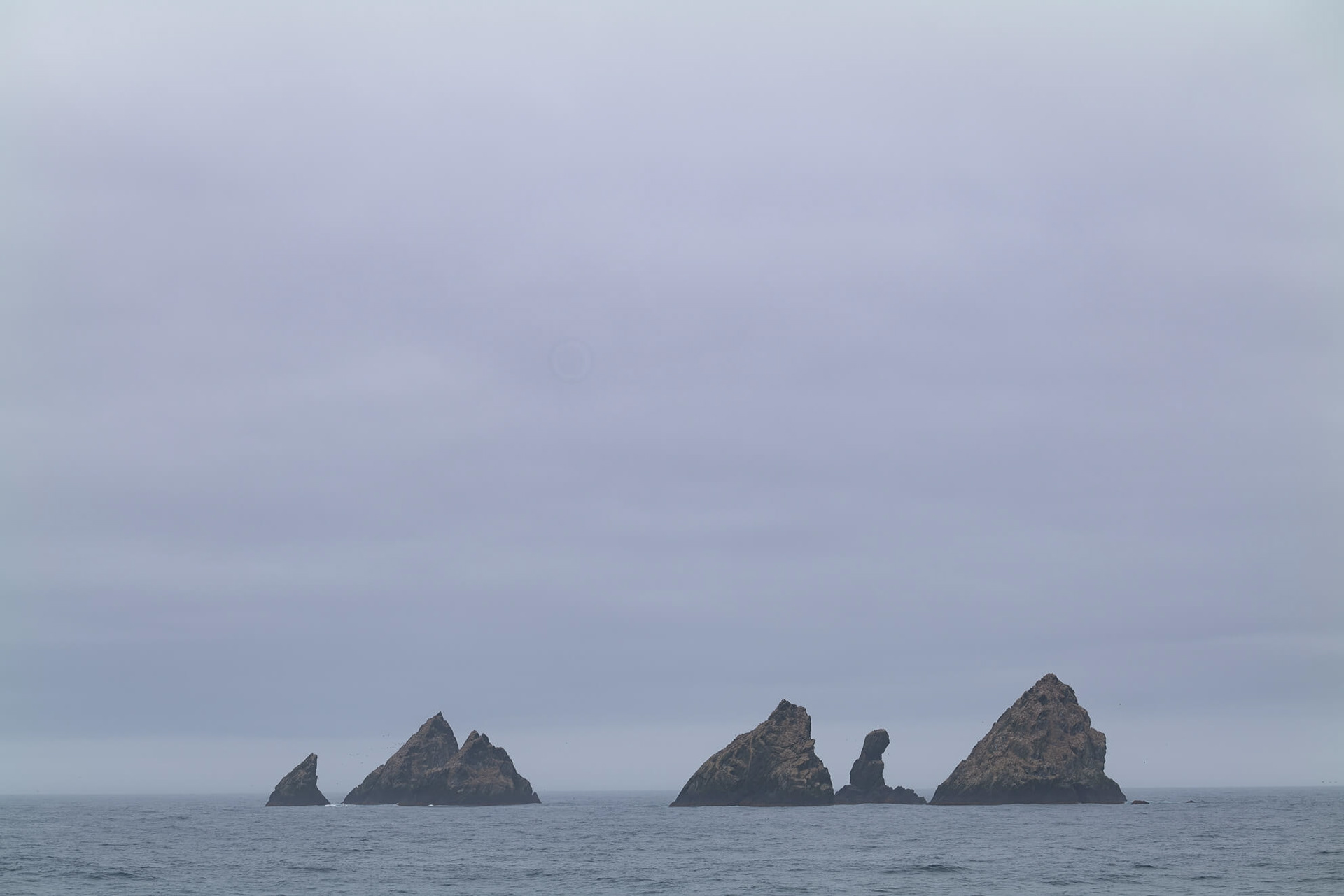 Shag Rocks - Felsengruppe im Nirgendwo