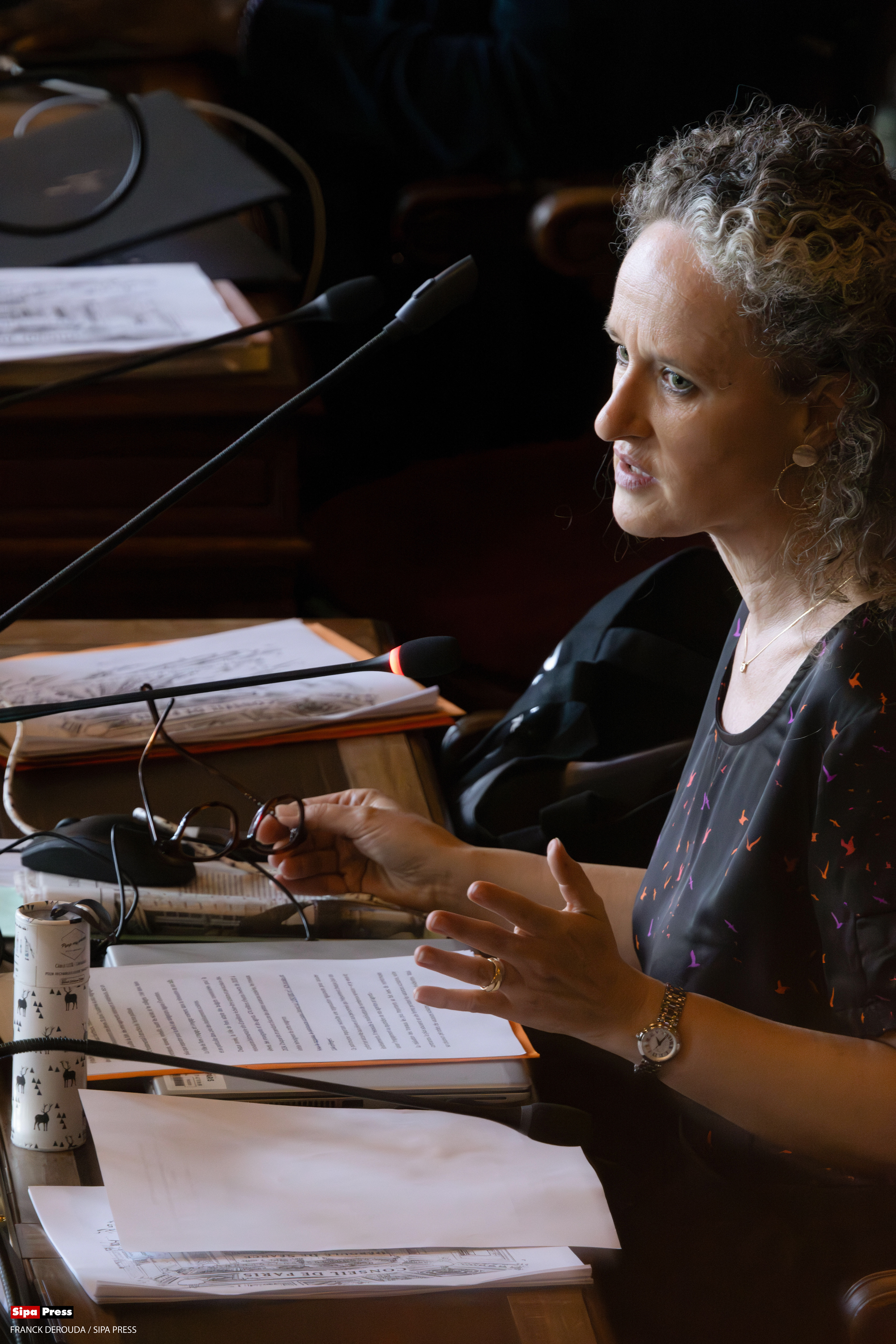 Council of Paris - Colombe Brossel