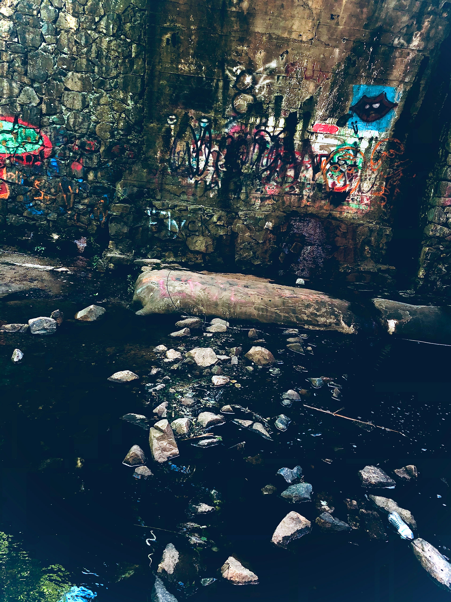 nature pt. 2