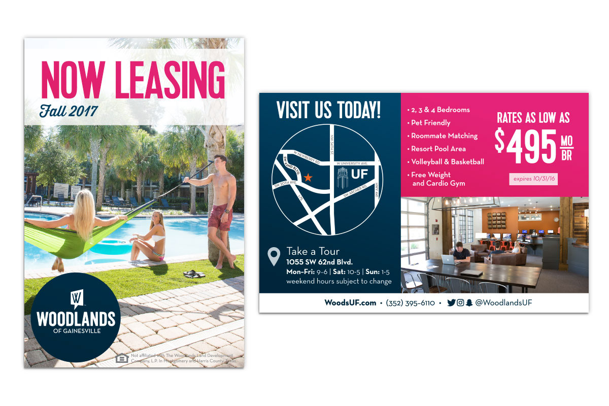 4x6 promotional flyer
