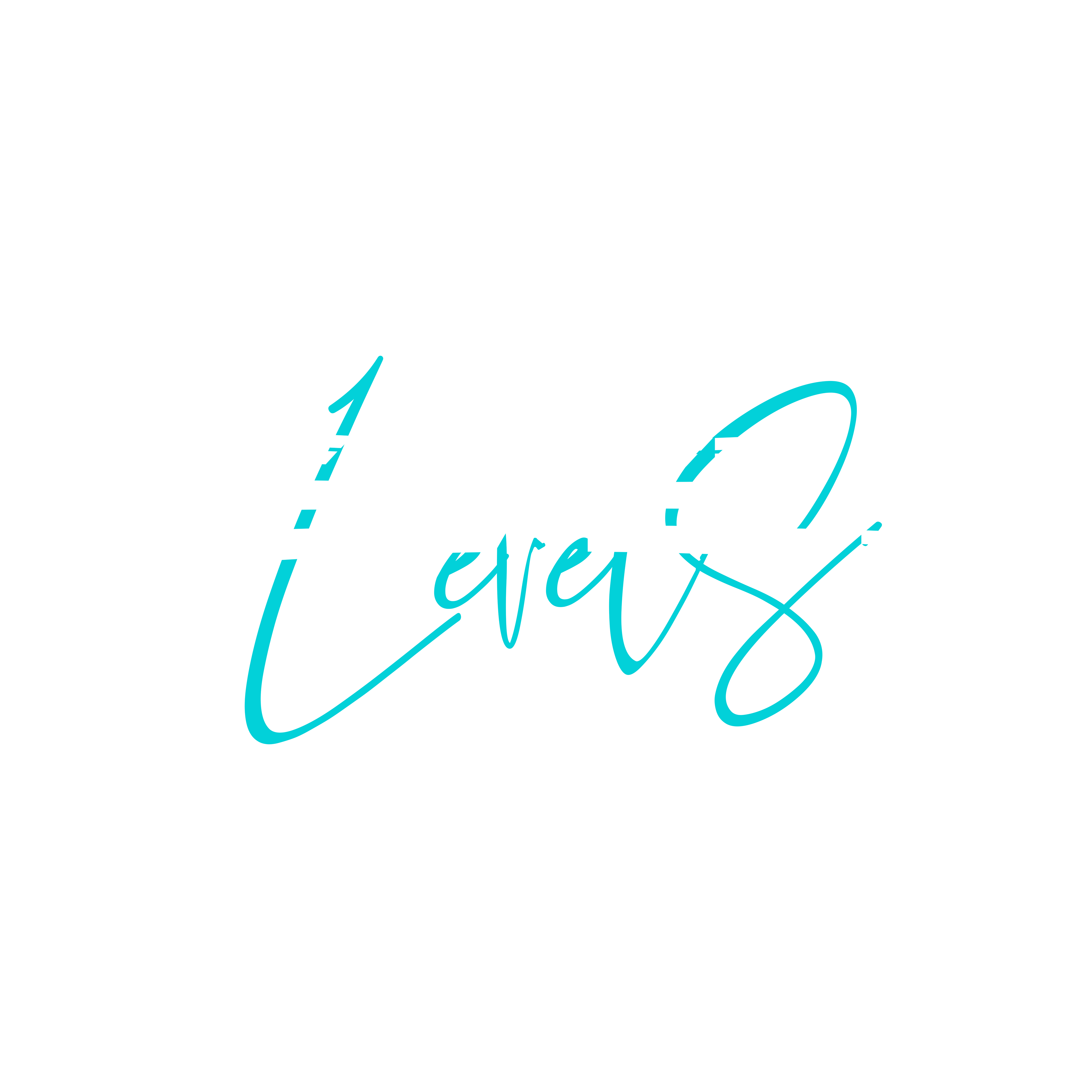 The Levels Company
