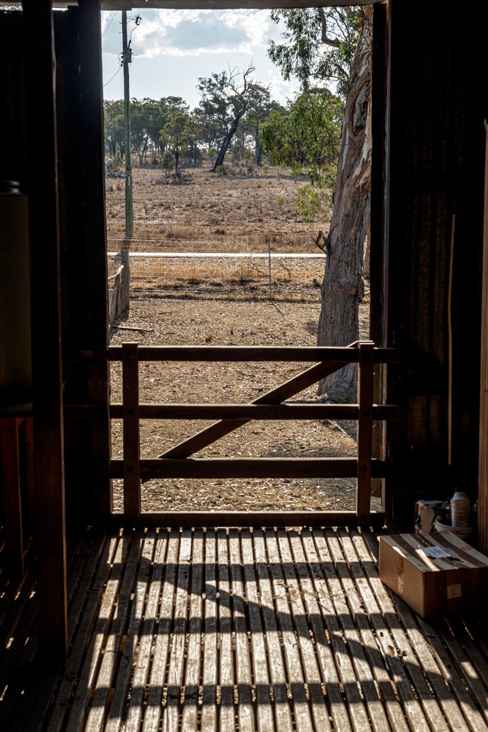 Southern Downs Agritourism Photography