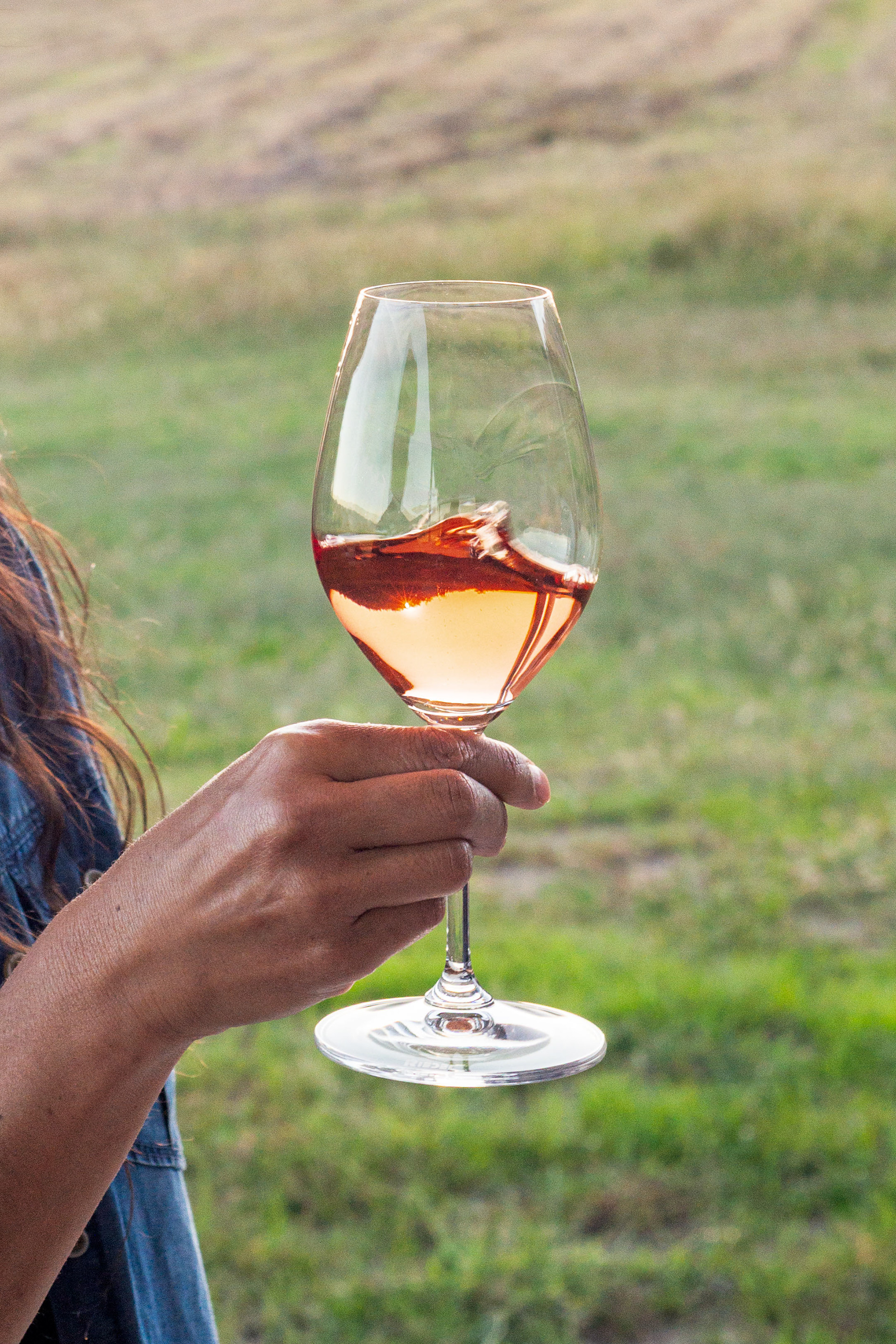 View Wines Wine Cellar Door Opening