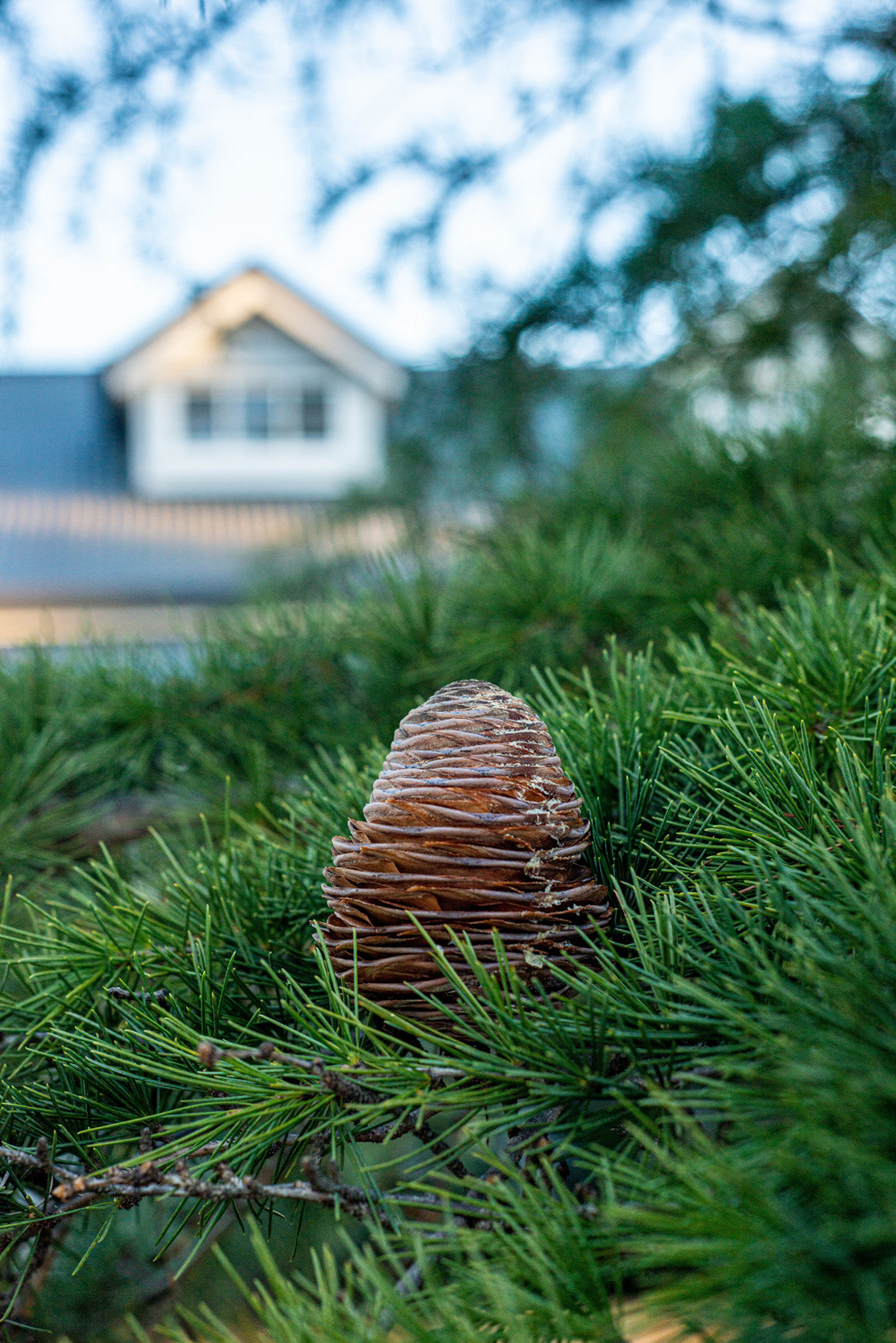 Luxury Accomodation Photography in Tamborine Mountain and Stanthorpe