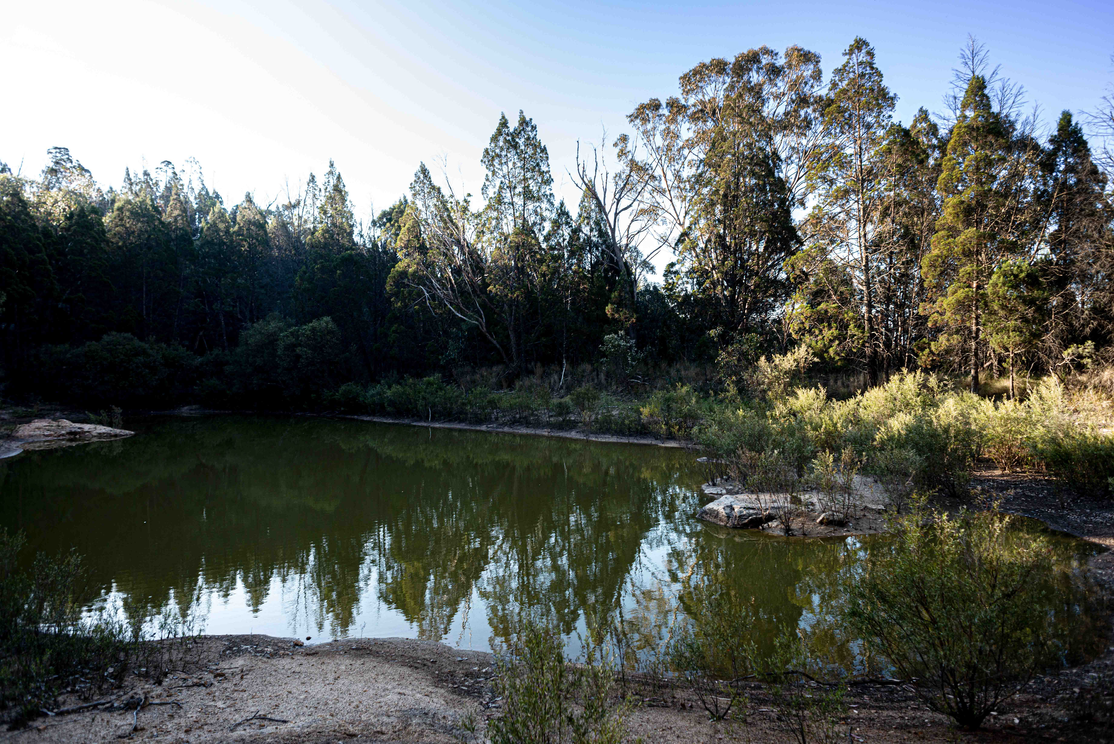 Stanthorpe Farm Agribusiness Property Drone Photographer & Videographer