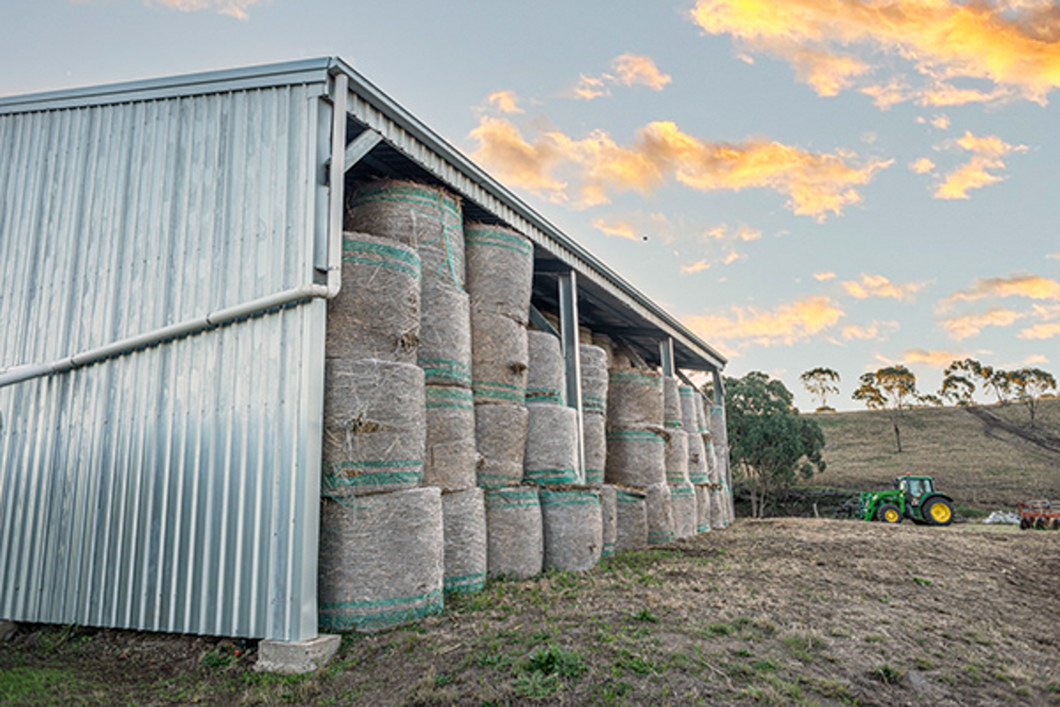 Widespan Sheds Advertising and Social Media Content Campaign