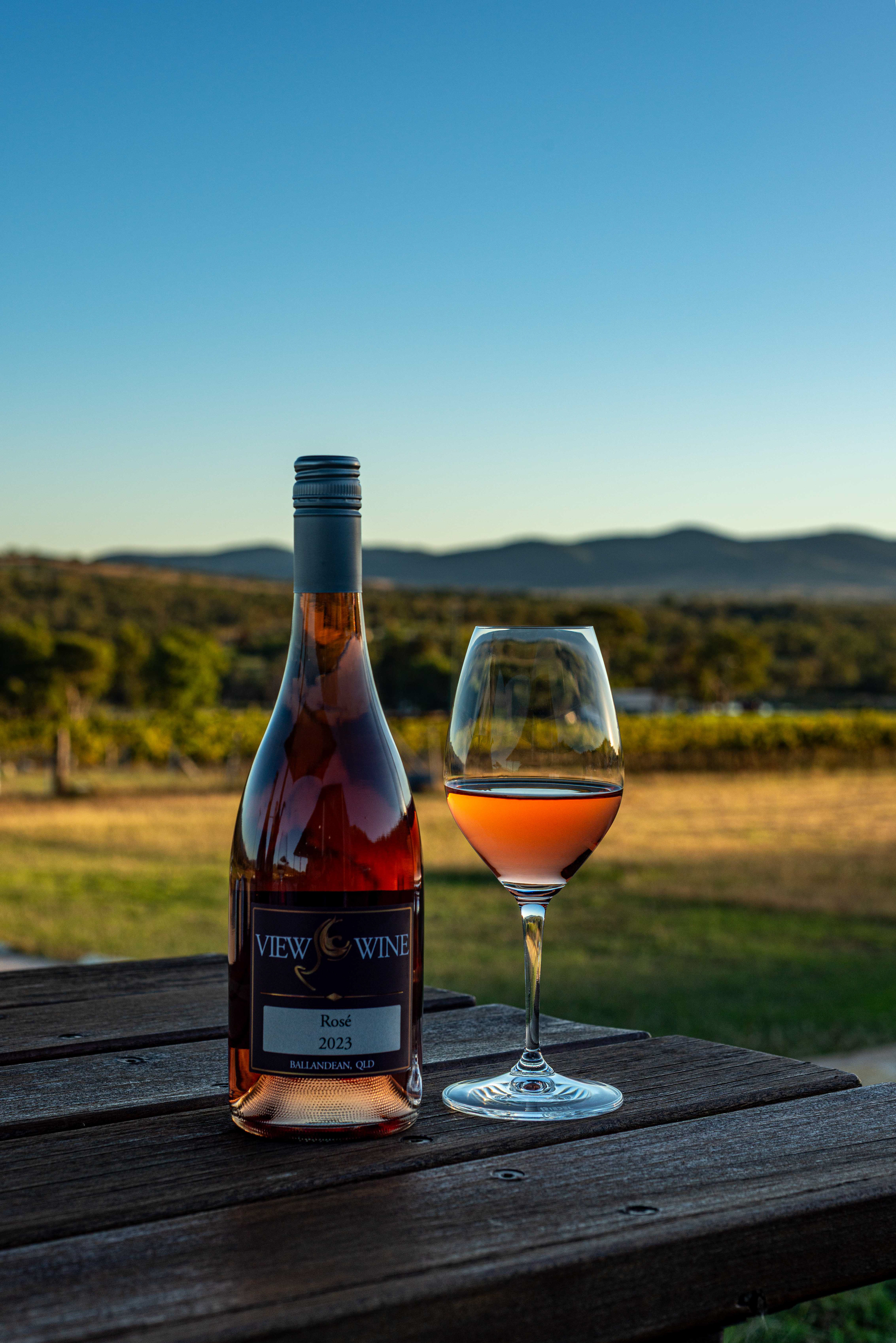 View Wines Wine Cellar Door Opening