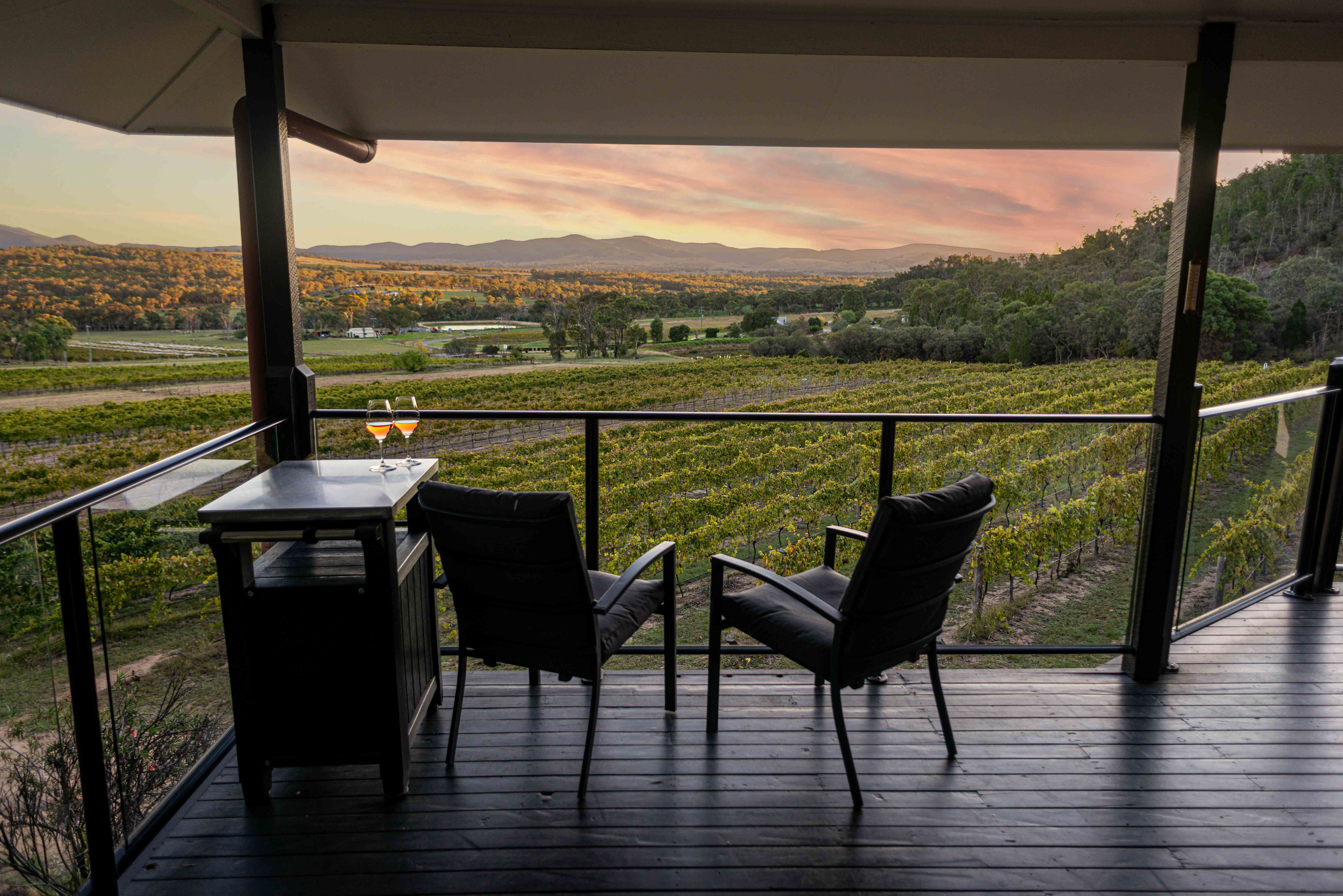 Queensland Wine Tourism Photographer