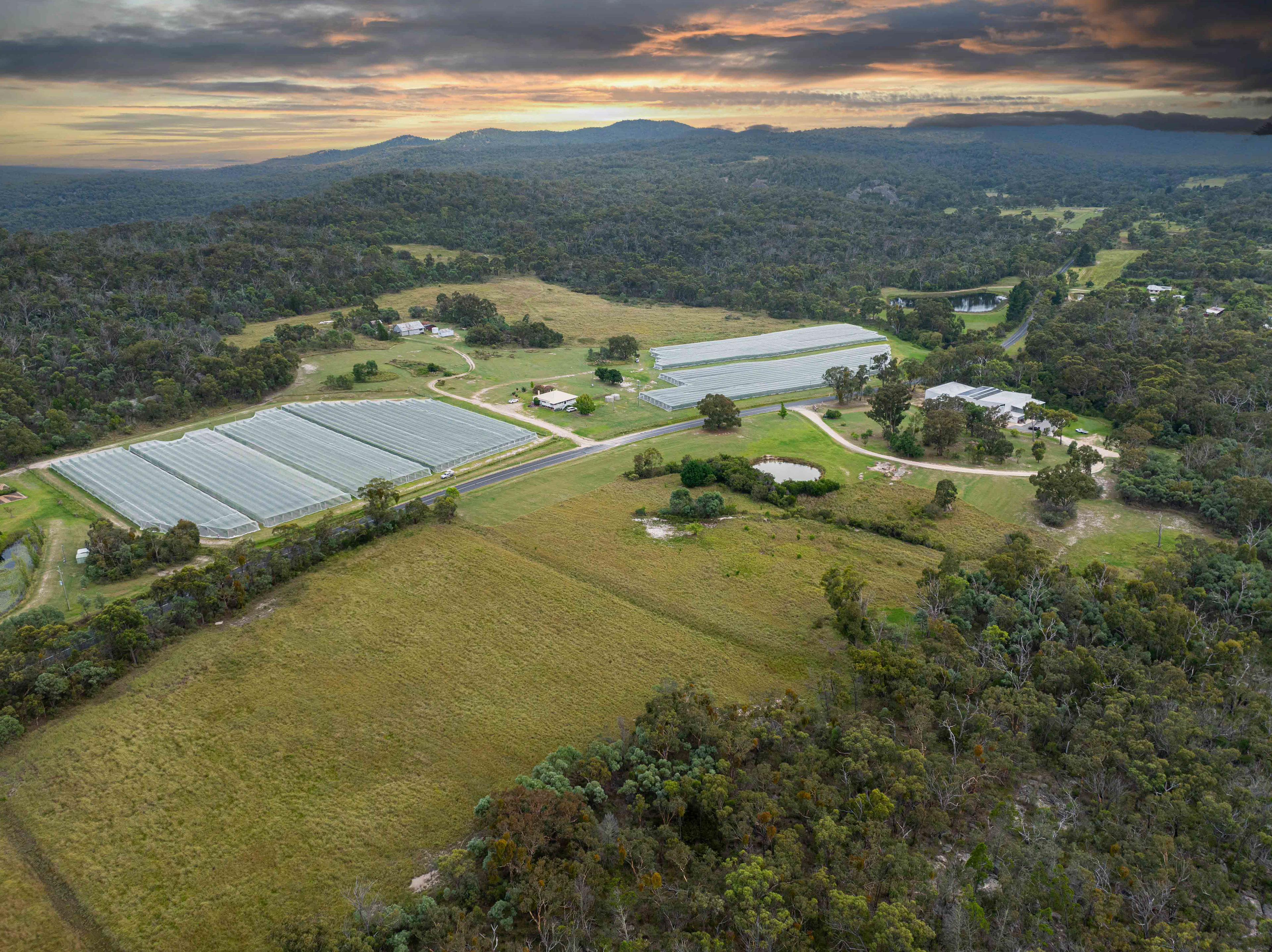 Symphony Hill Winery & Cellar Door Drone Property Photography & Videography