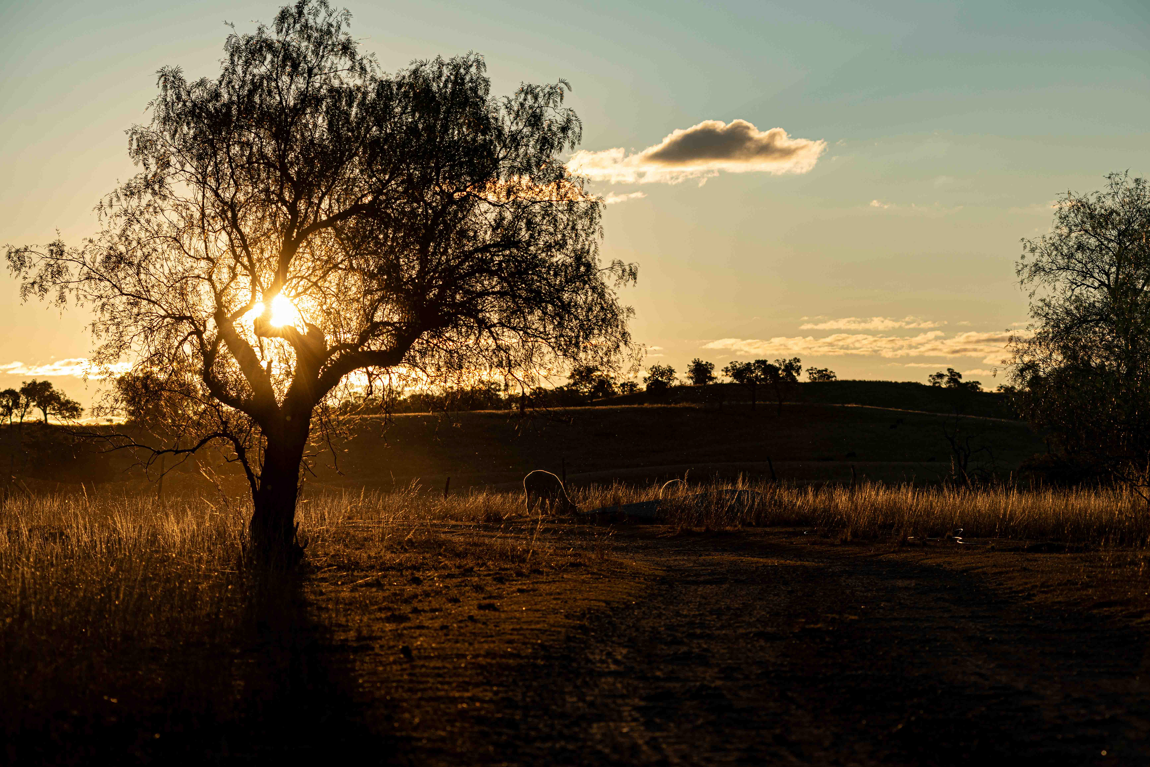 Waterfront Agribusiness & Tourism Property Photography Warwick Queensland
