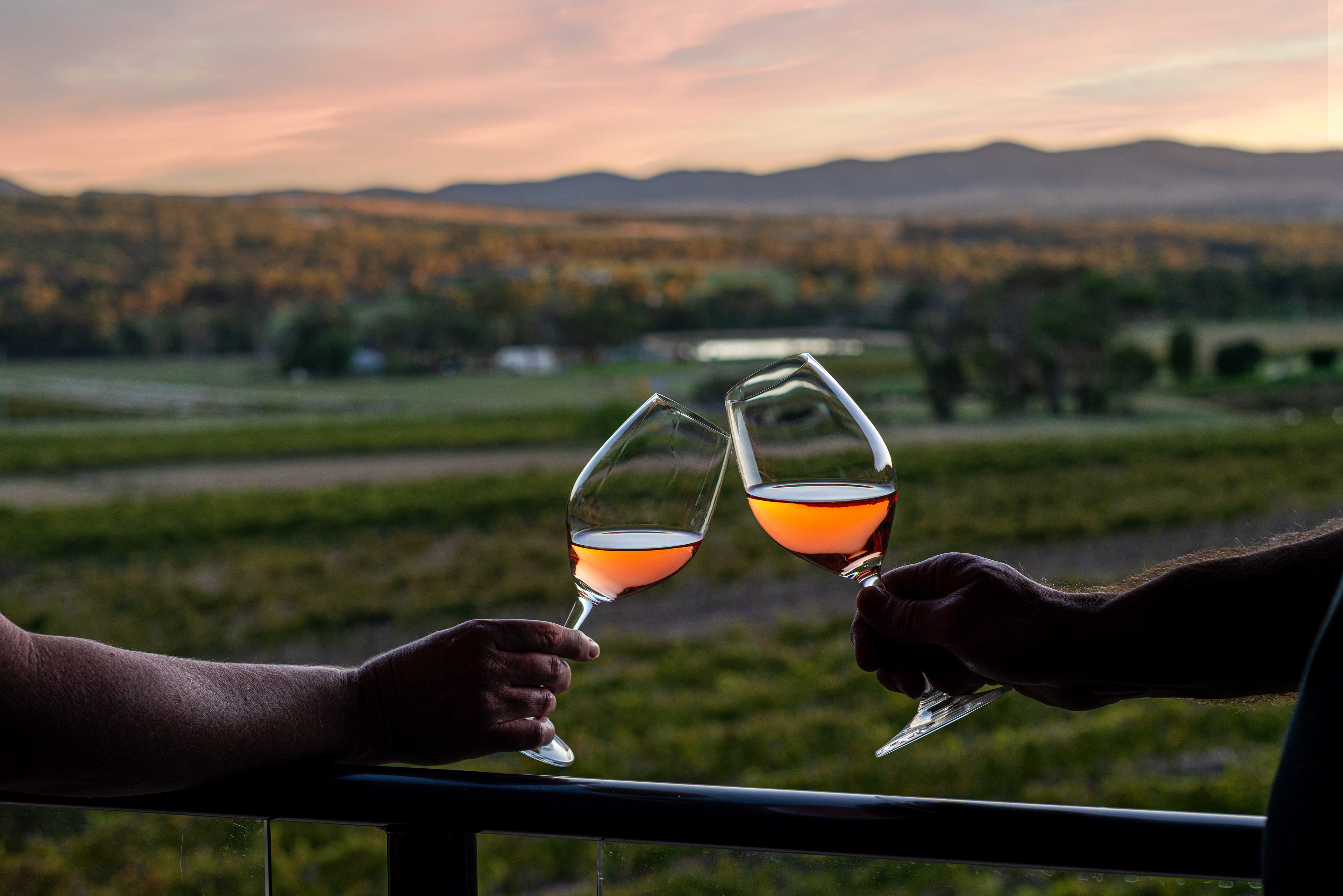 Queensland Wine Tourism Photographer