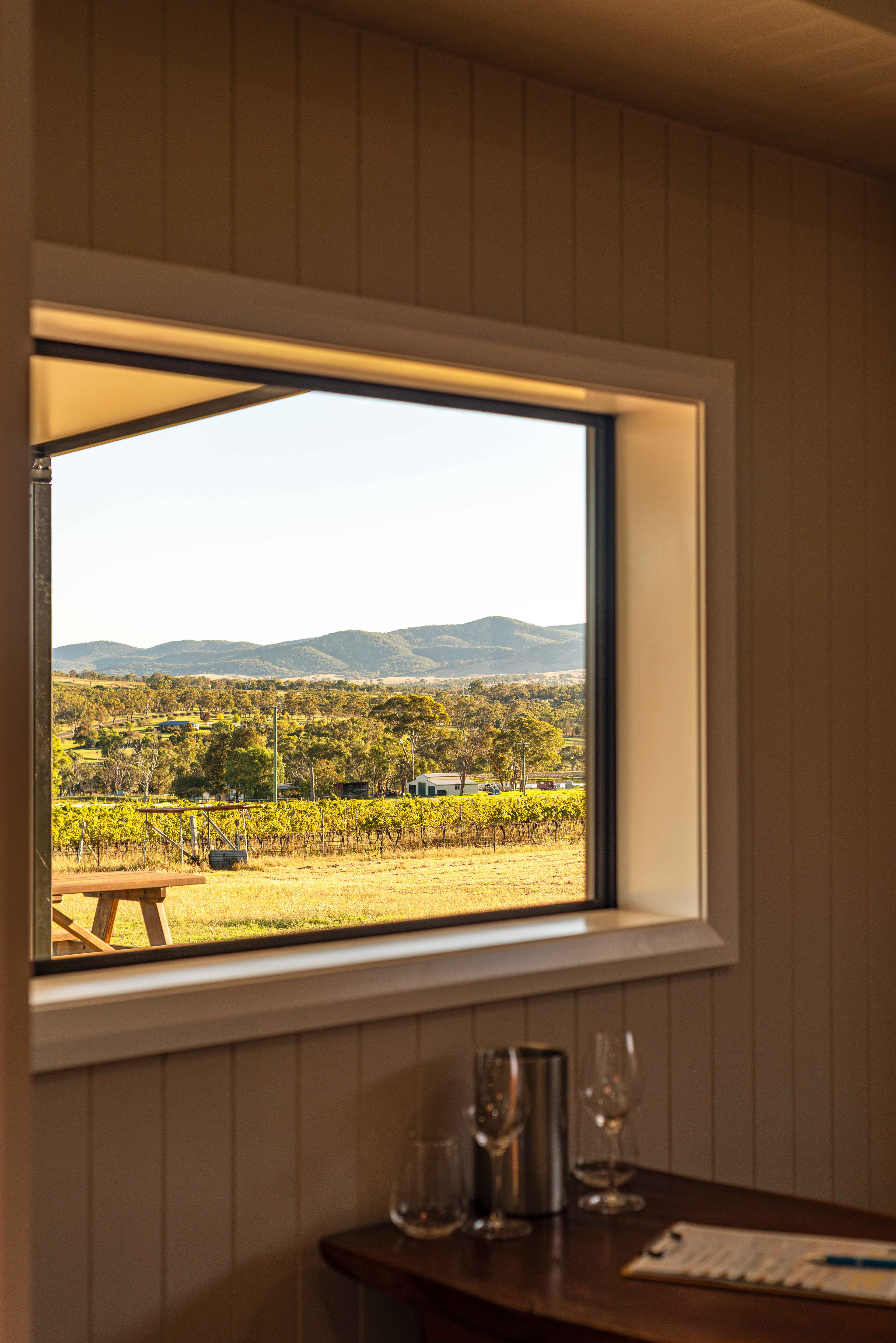 View Wines Wine Cellar Door Opening