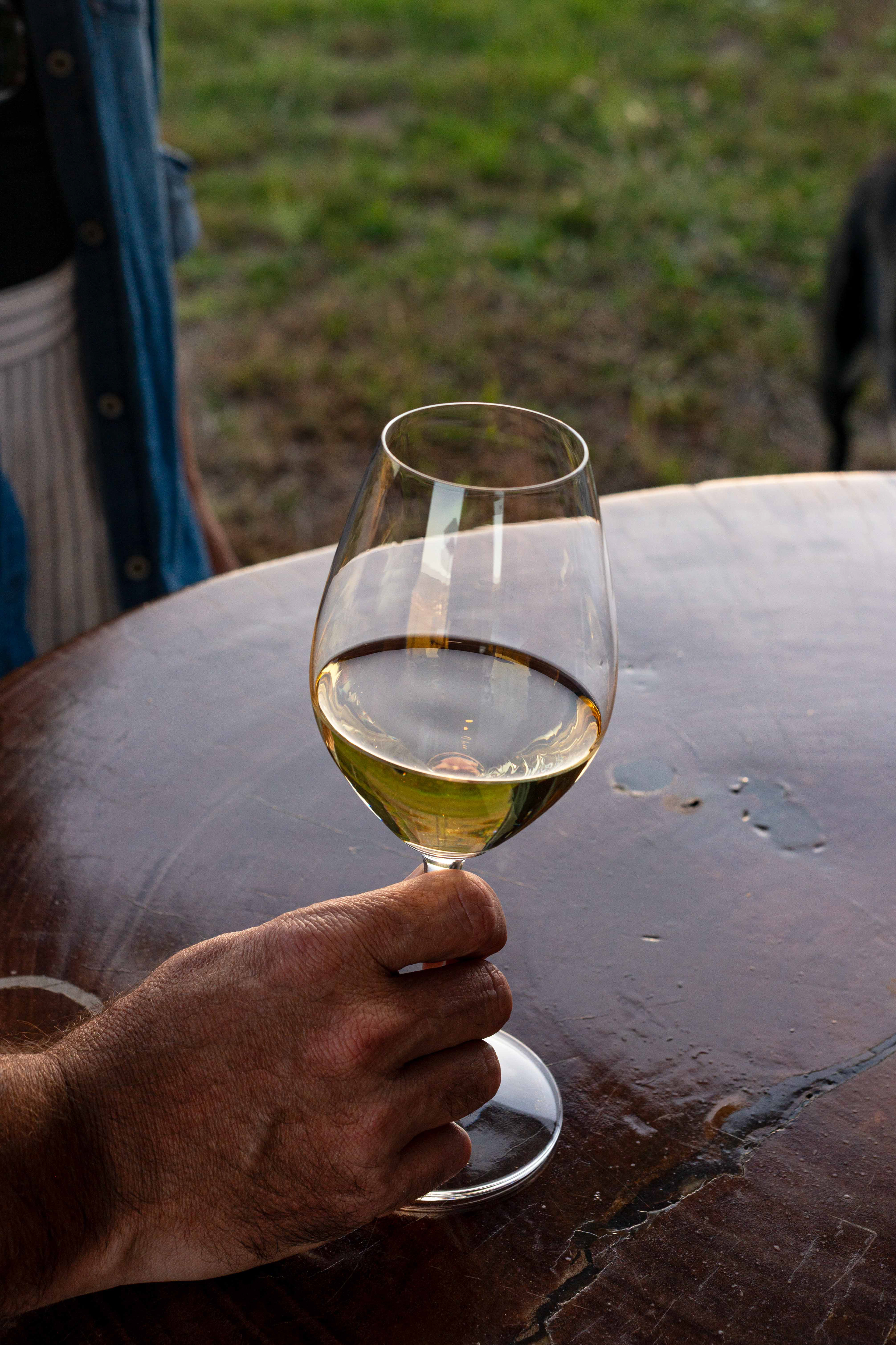 View Wines Wine Cellar Door Opening