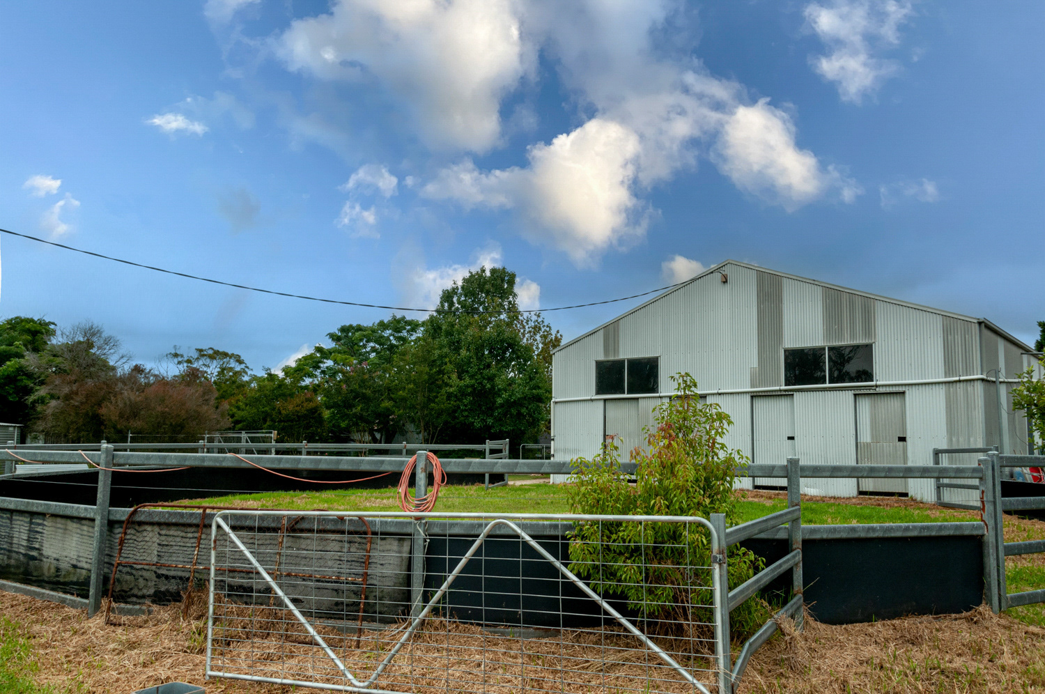 Queensland-Rural-Lifestyle-Agribusiness-Photographer