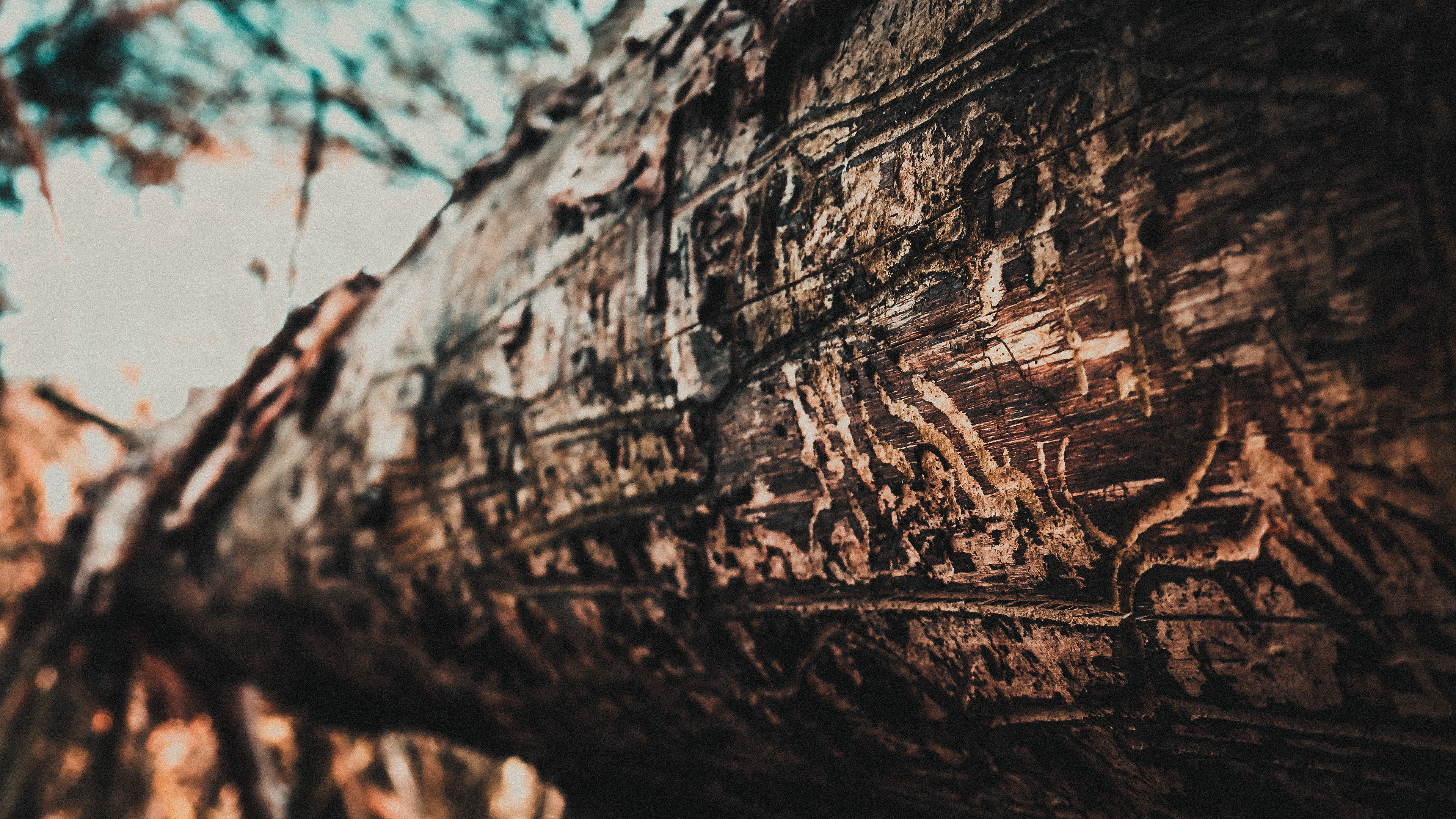 natural patterns
