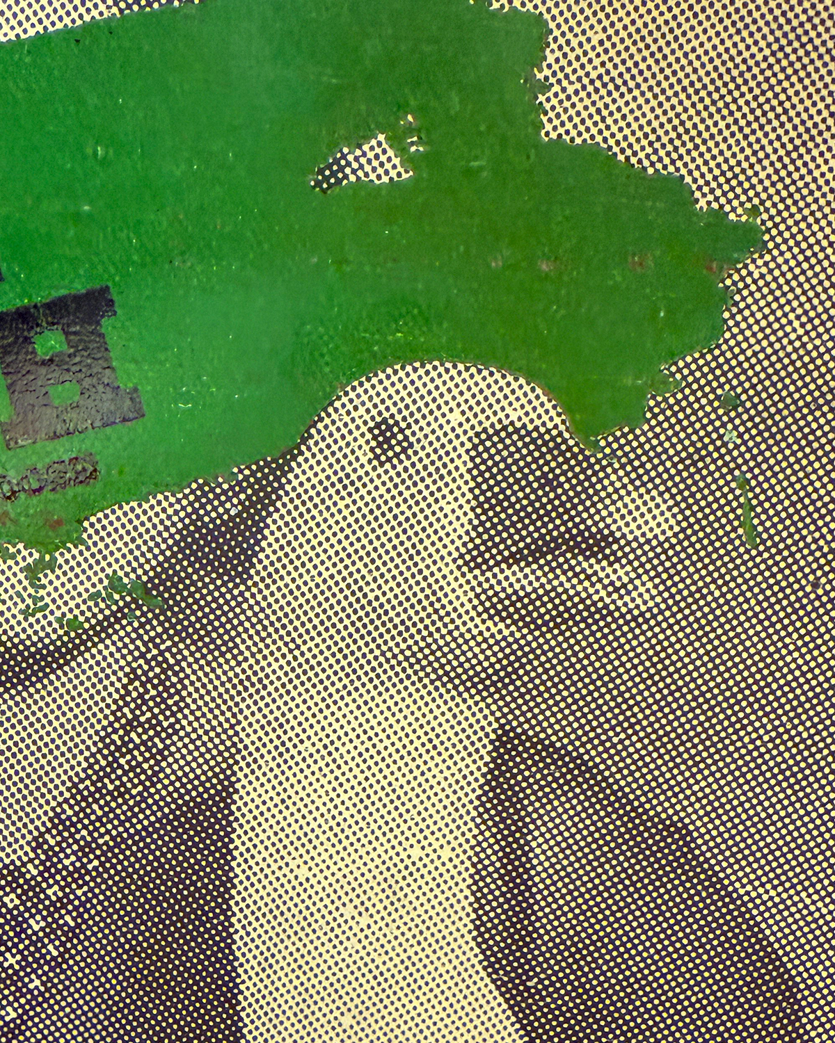 Detail photo of goose.