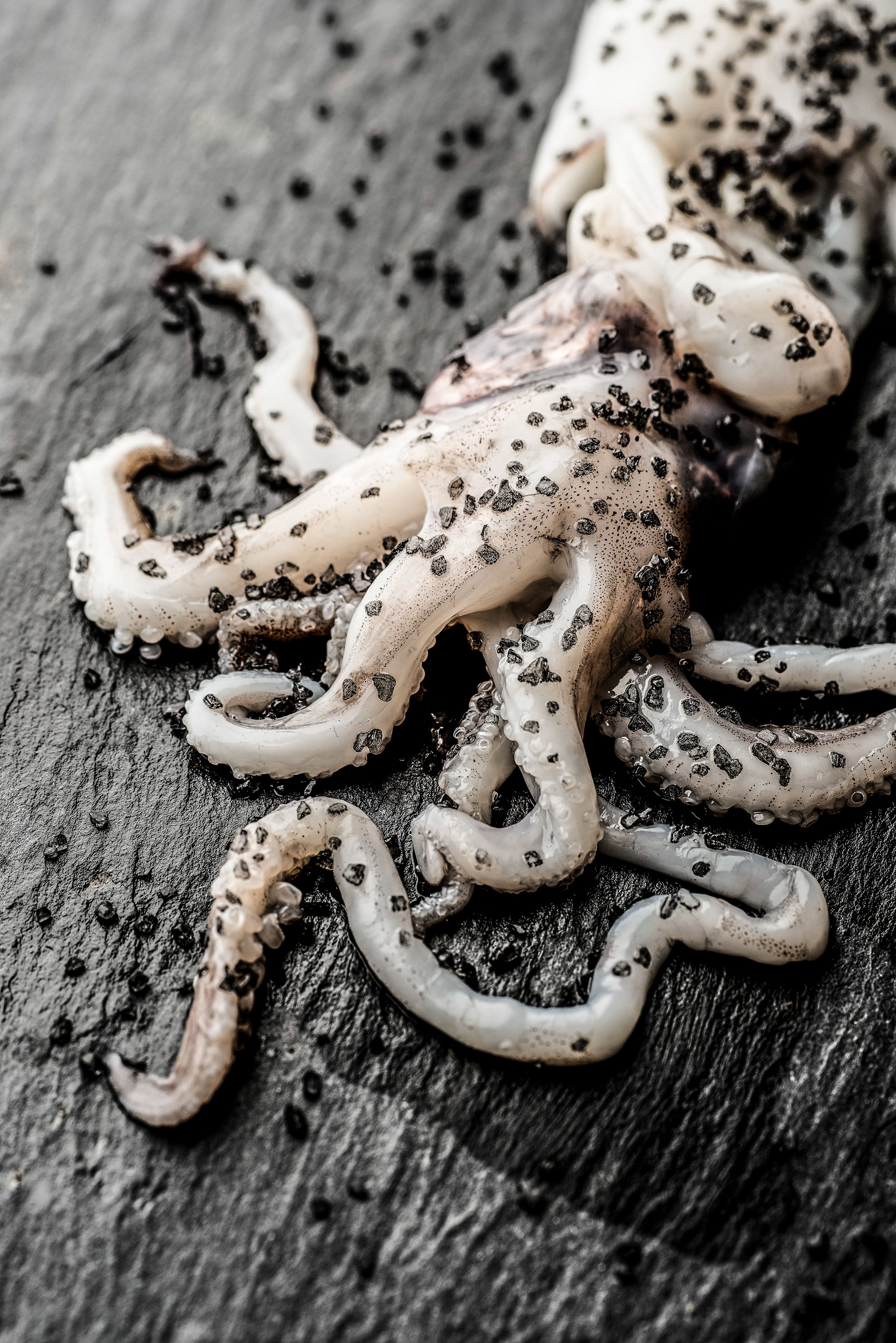 Salt Preservation - images for Cereal Magazine - photo Martin Kaufmann