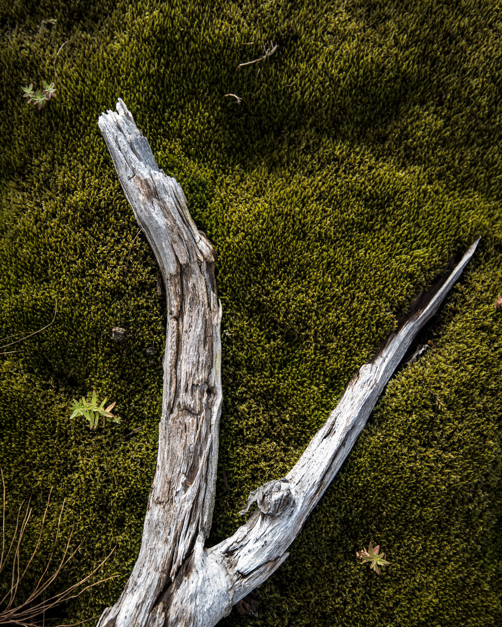 Photos from traveling Iceland - photo Martin Kaufmann