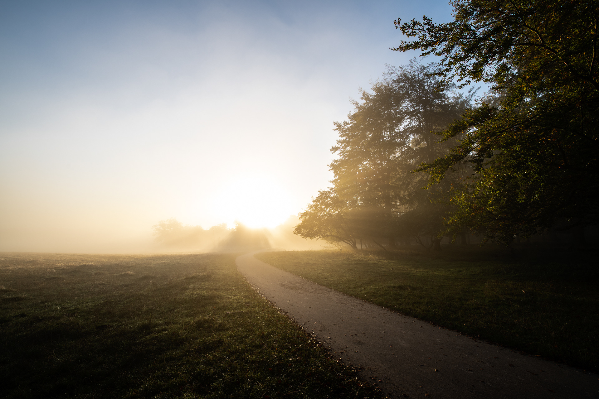 Dyrehaven, Denmark - one sunny autumn morning in October - photo Martin Kaufmann