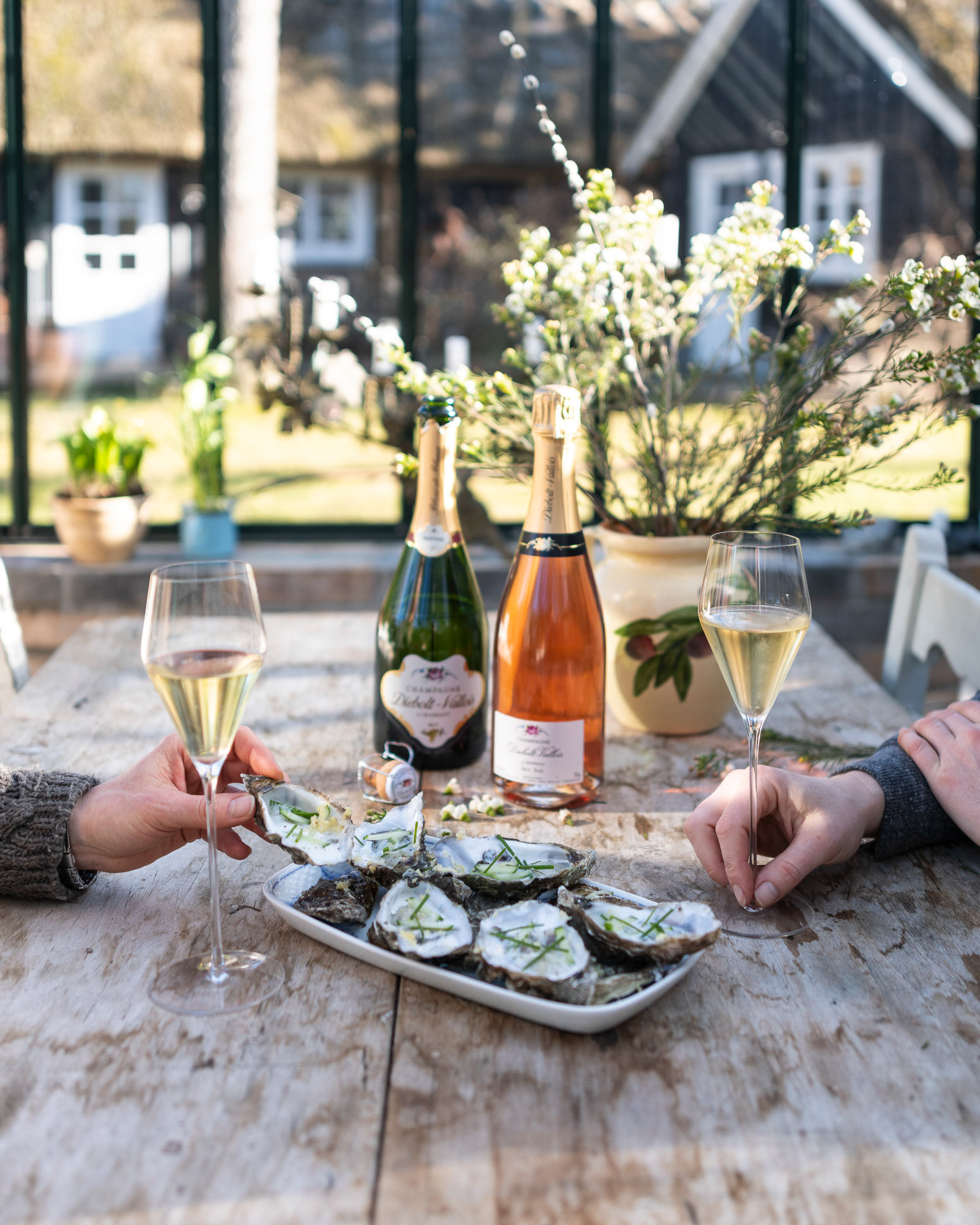 Oysters - Loegismose Easter Magazine - photo Martin Kaufmann