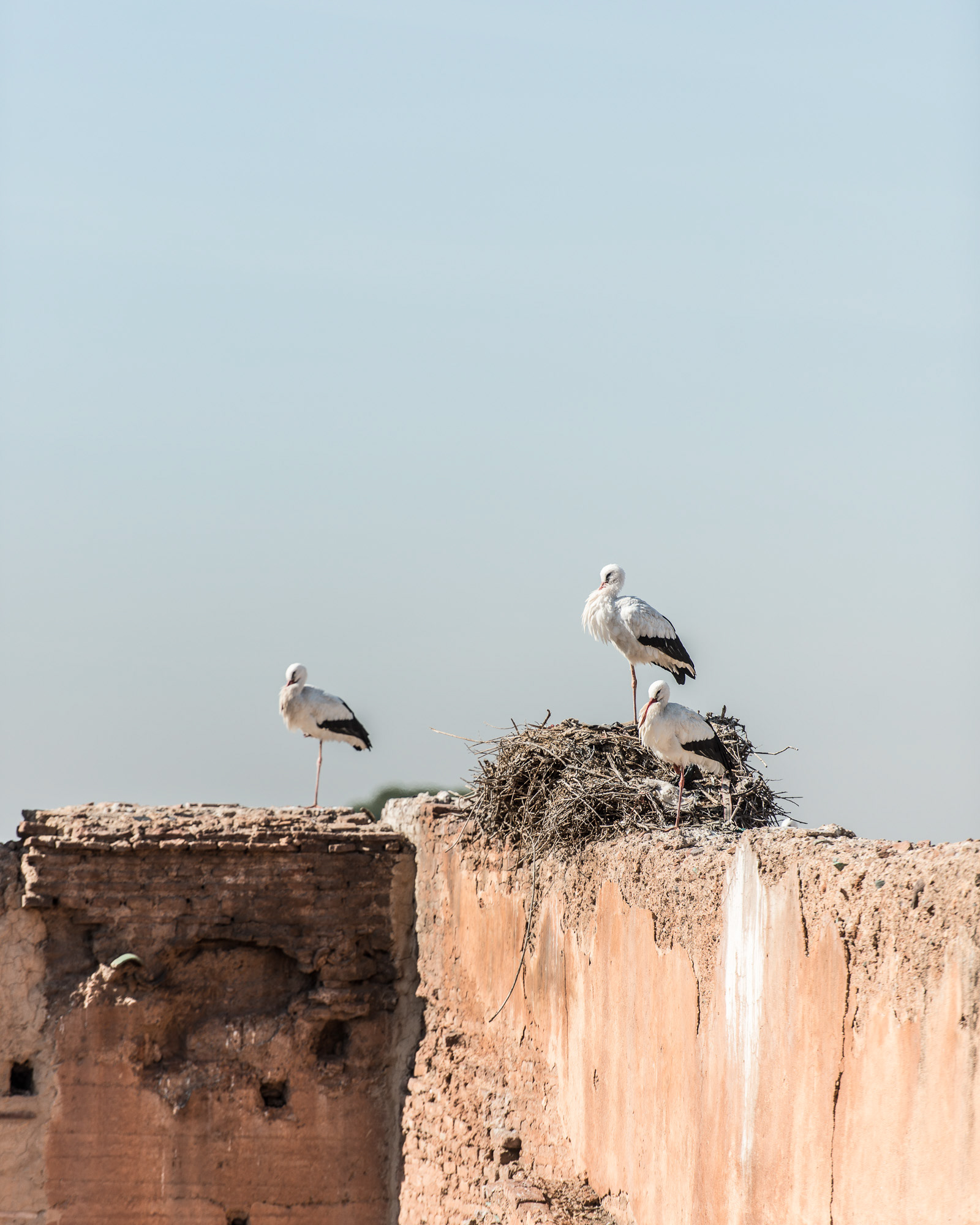 Marrakesh in Morocco - photo Martin Kaufmann