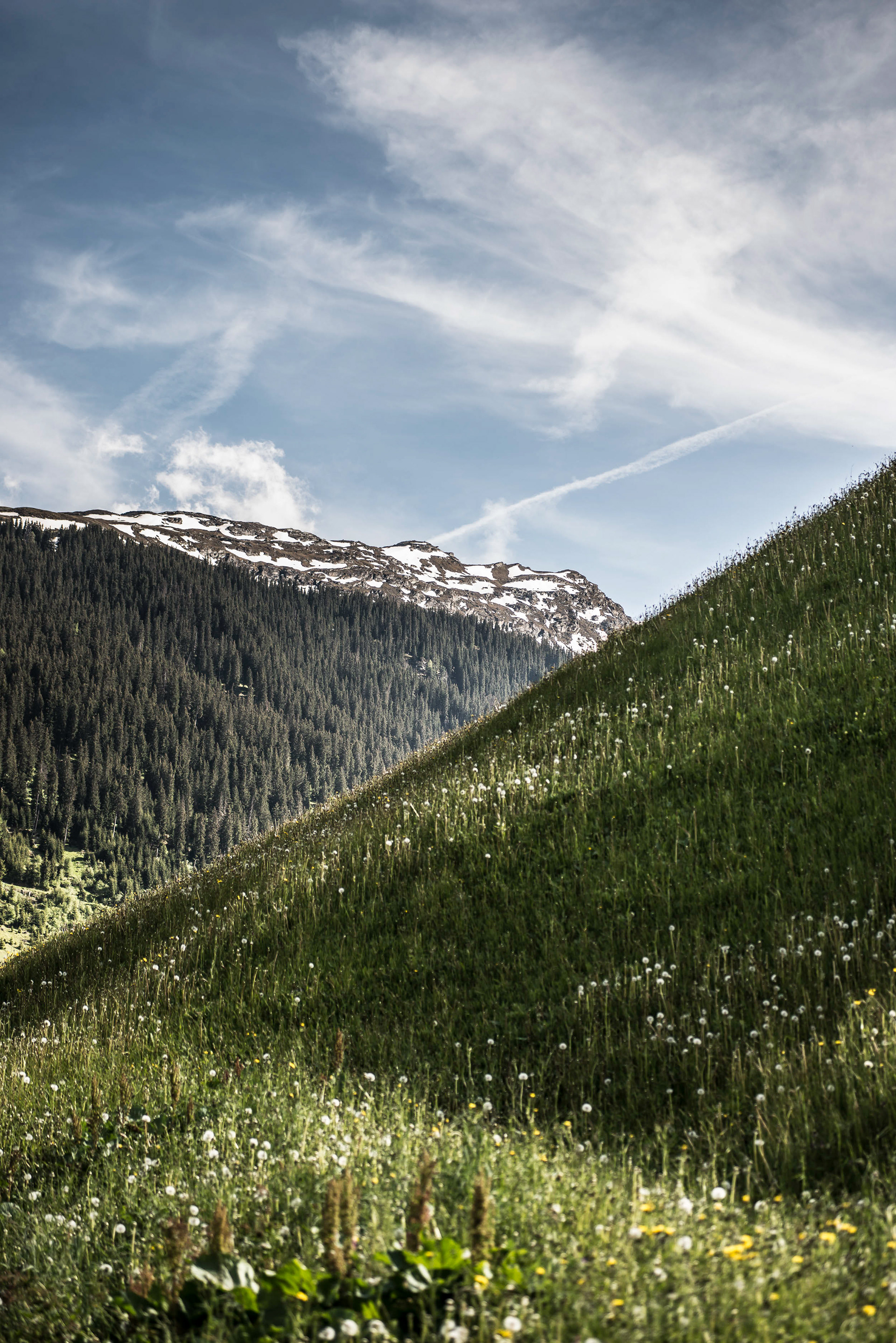 Brücke 49 in Vals, Switzerland - photo Martin Kaufmann
