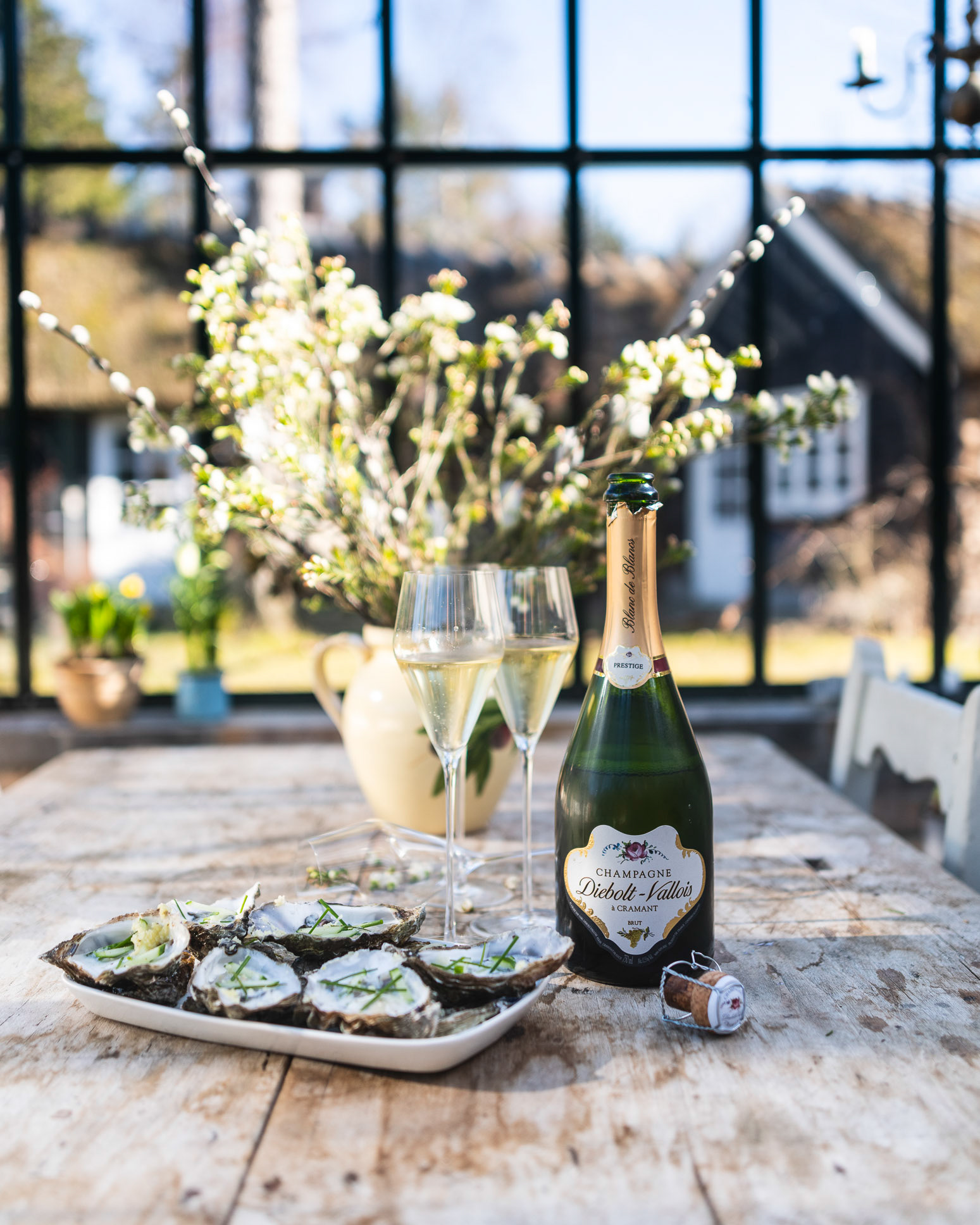 Oysters - Loegismose Easter Magazine - photo Martin Kaufmann