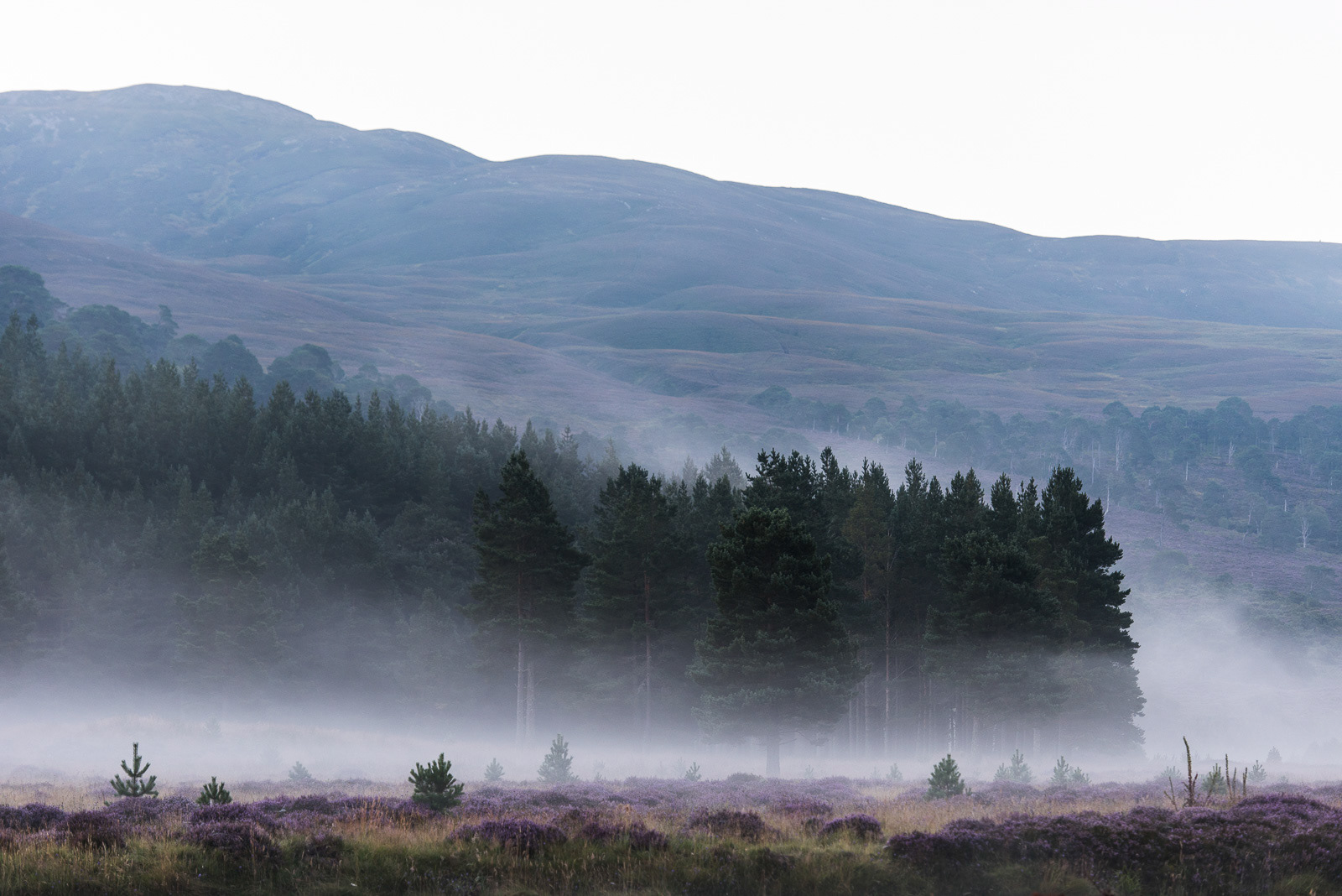Killiehuntly Farmhouse in Scotland - photo Martin Kaufmann