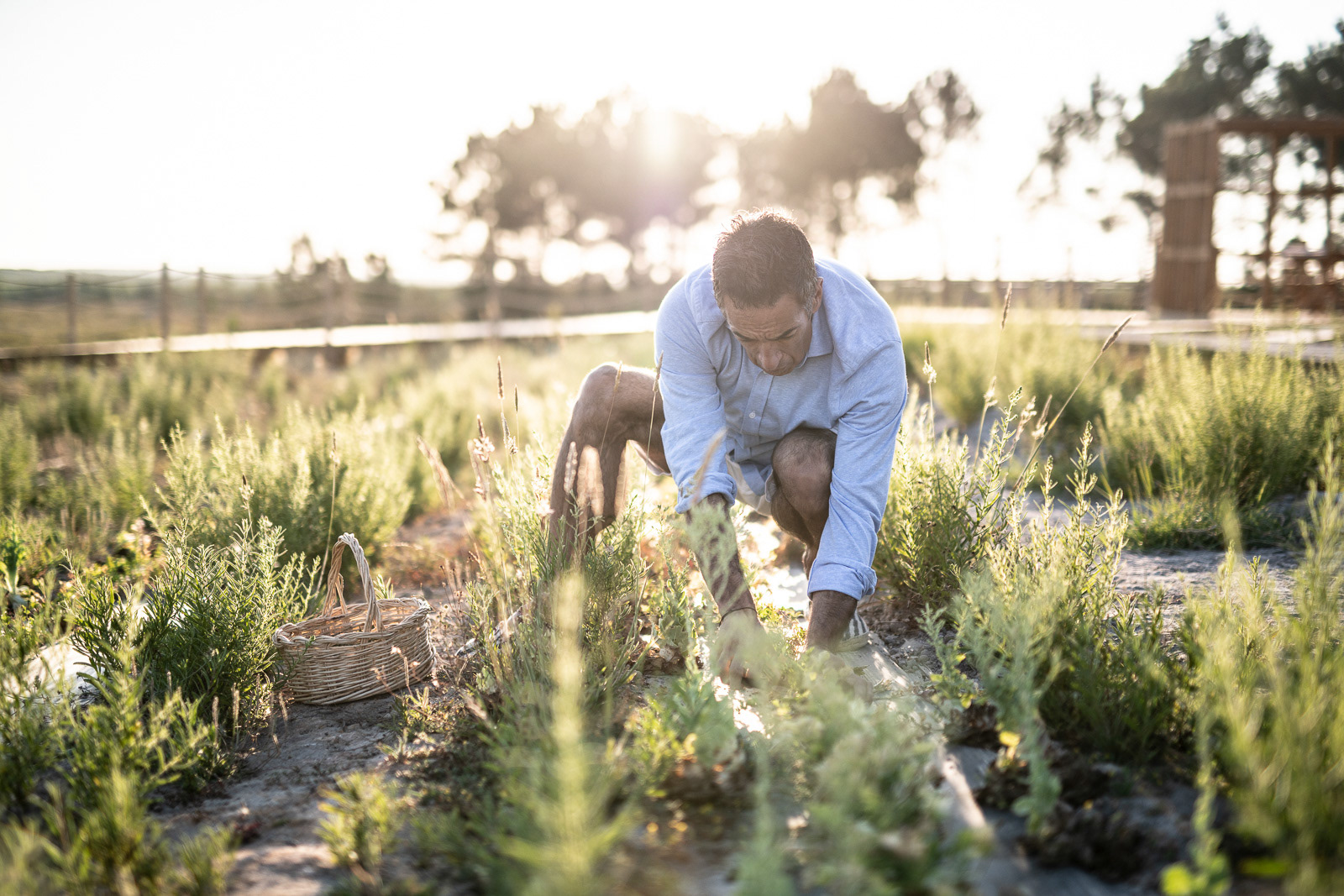 Vegetable garden - Craveiral Farmhouse in Alentejo, Portugal - photo Martin Kaufmann