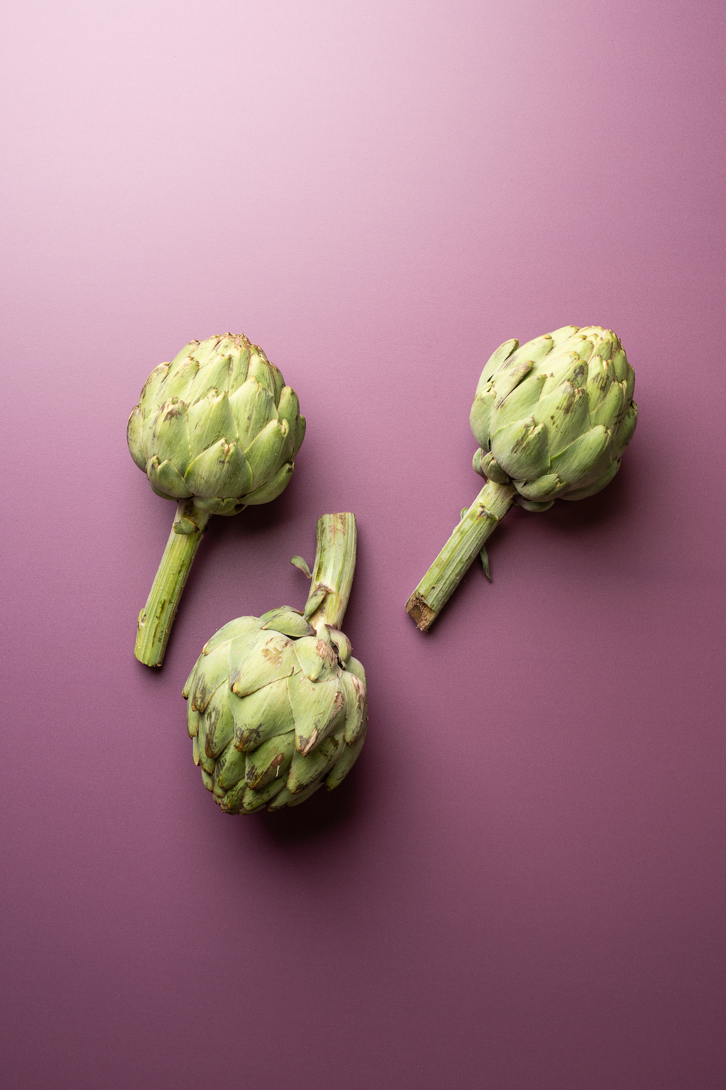 Artichokes - photo Martin Kaufmann