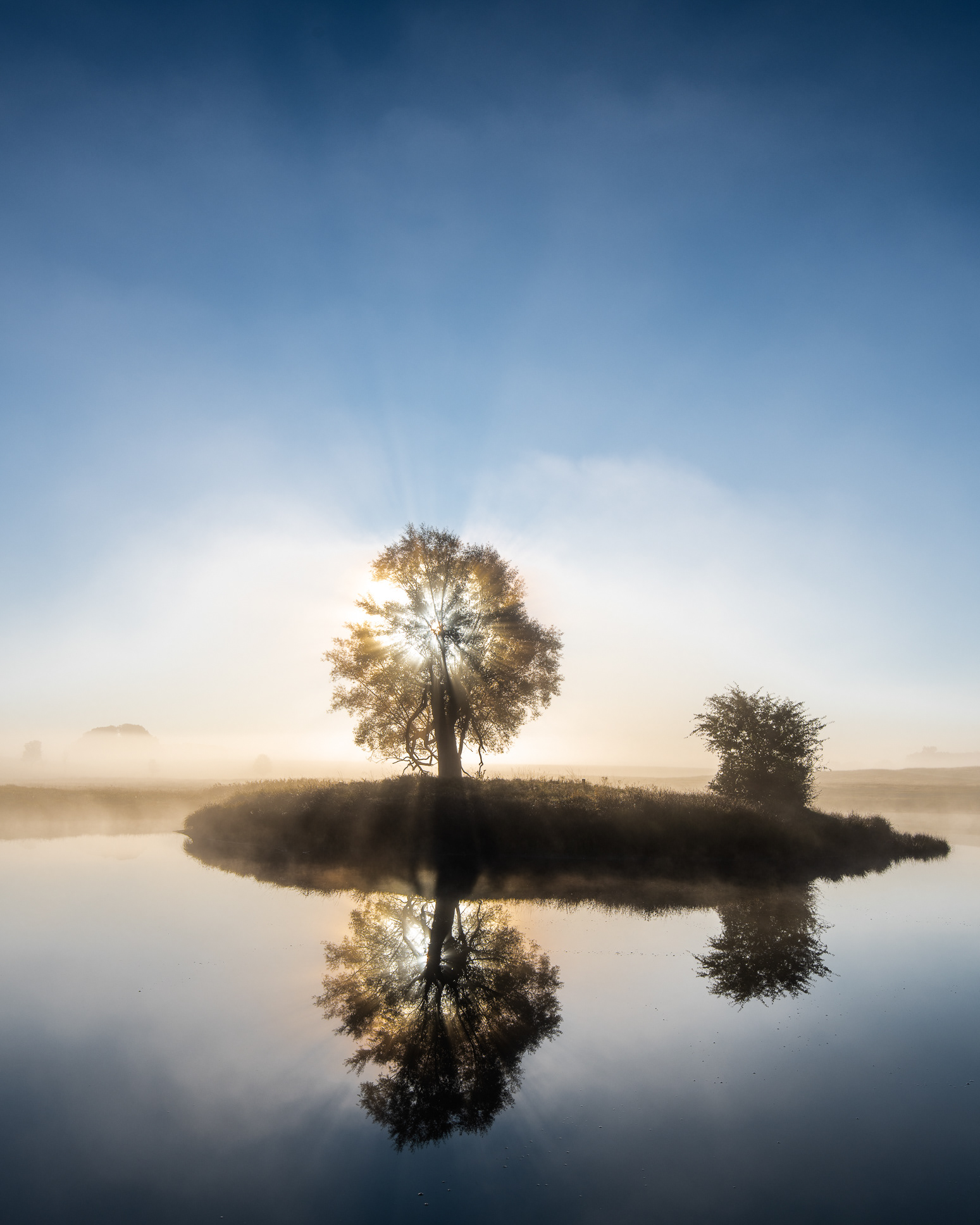 Dyrehaven, Denmark - one sunny autumn morning in October - photo Martin Kaufmann