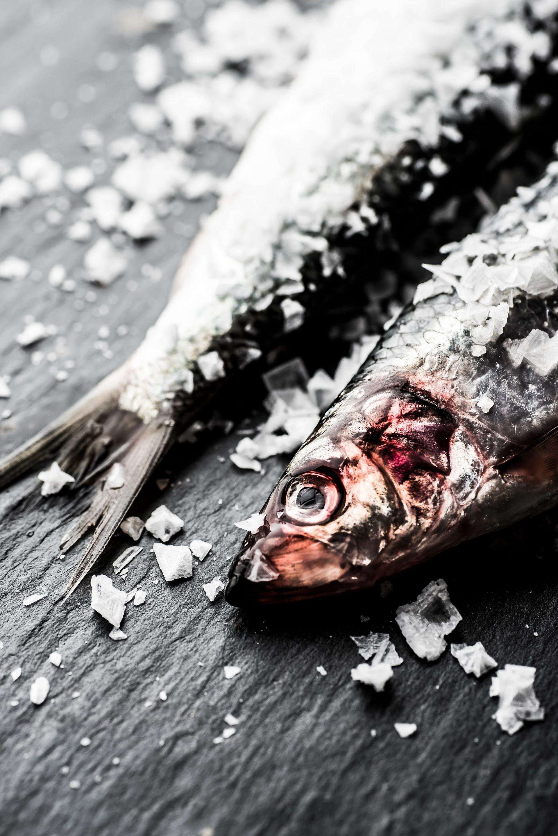 Salt Preservation - images for Cereal Magazine - photo Martin Kaufmann