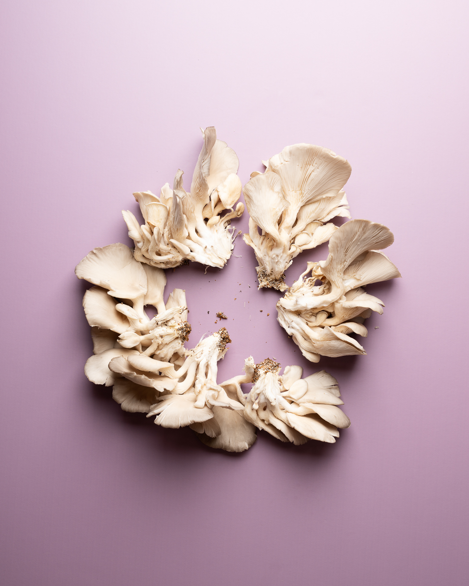 Oyster mushrooms - from working with Marlene Lindegaard at Dagrofa Foodservice - photo Martin Kaufmann