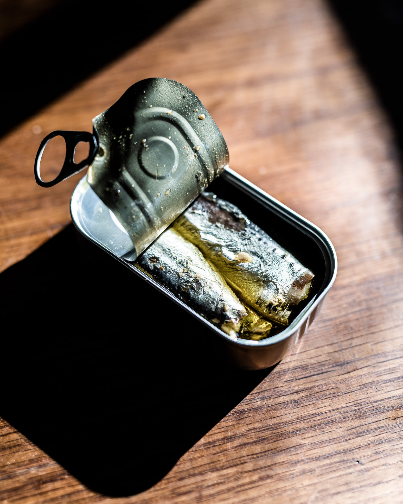 Sardines - Loegismose Easter Magazine - photo Martin Kaufmann