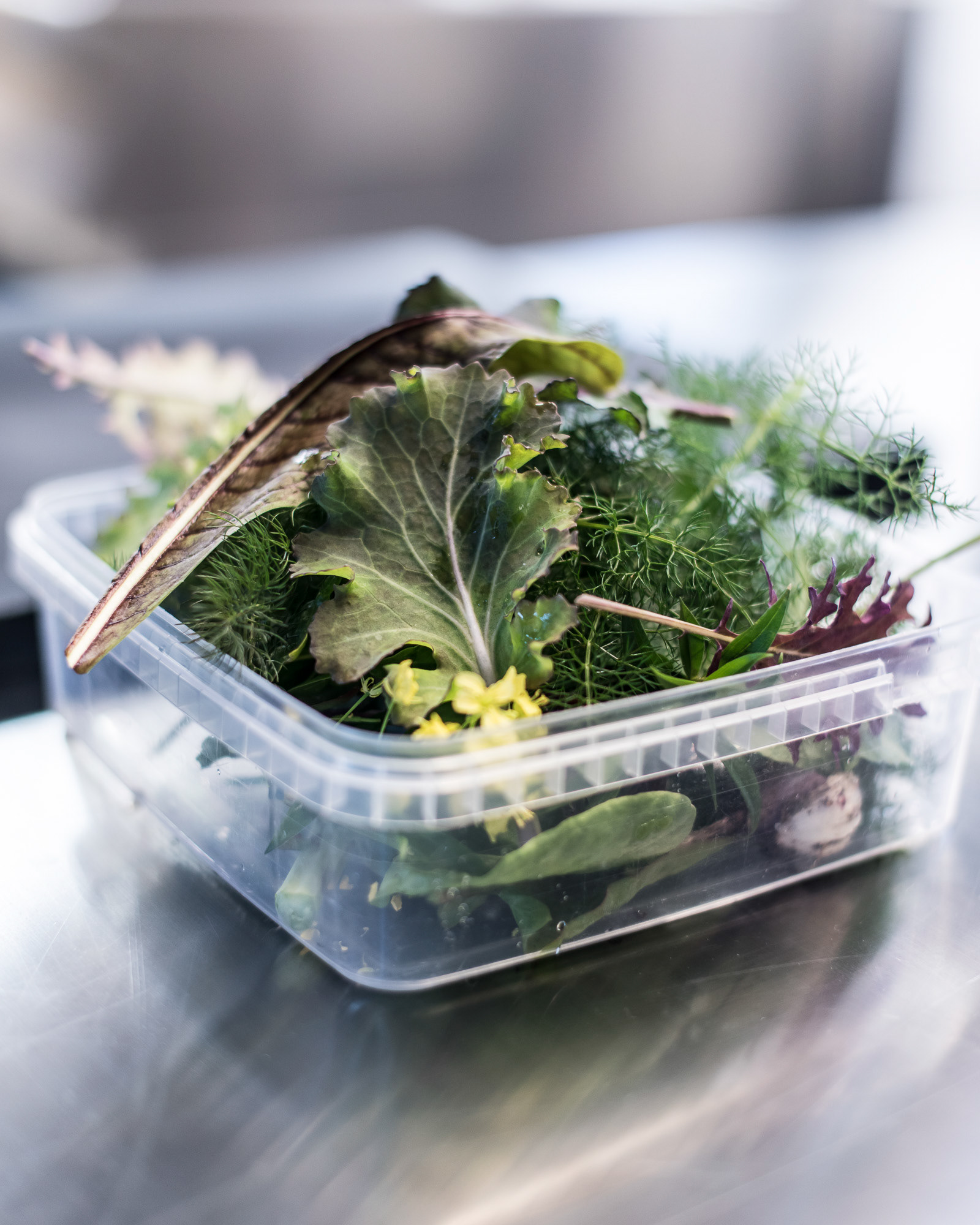 Amass Restaurant in Copenhagen, Denmark - photo Martin Kaufmann